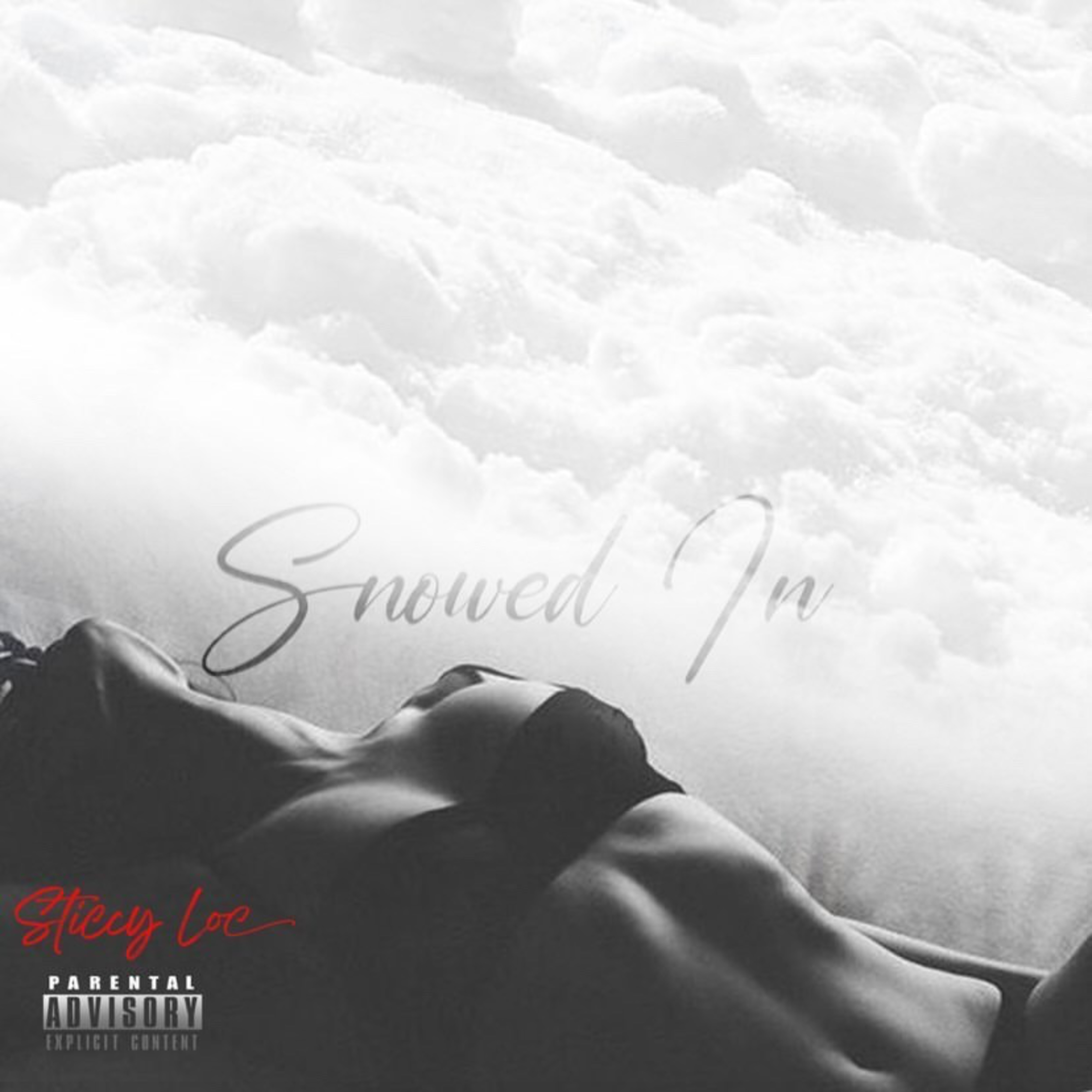 Snowed In artwork