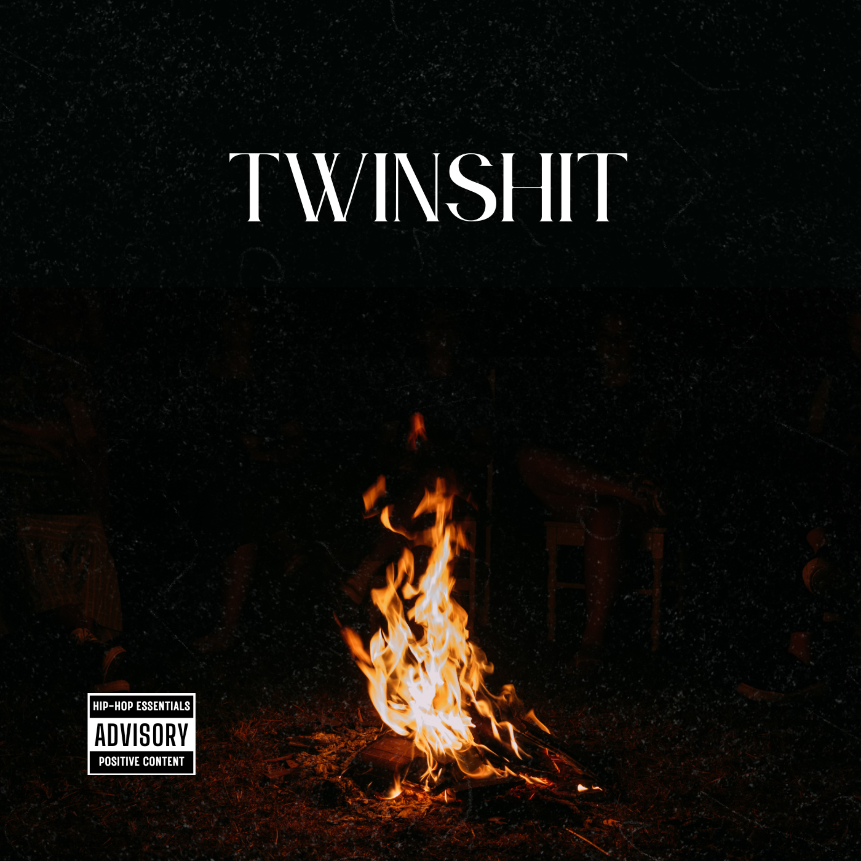 Twinshit artwork