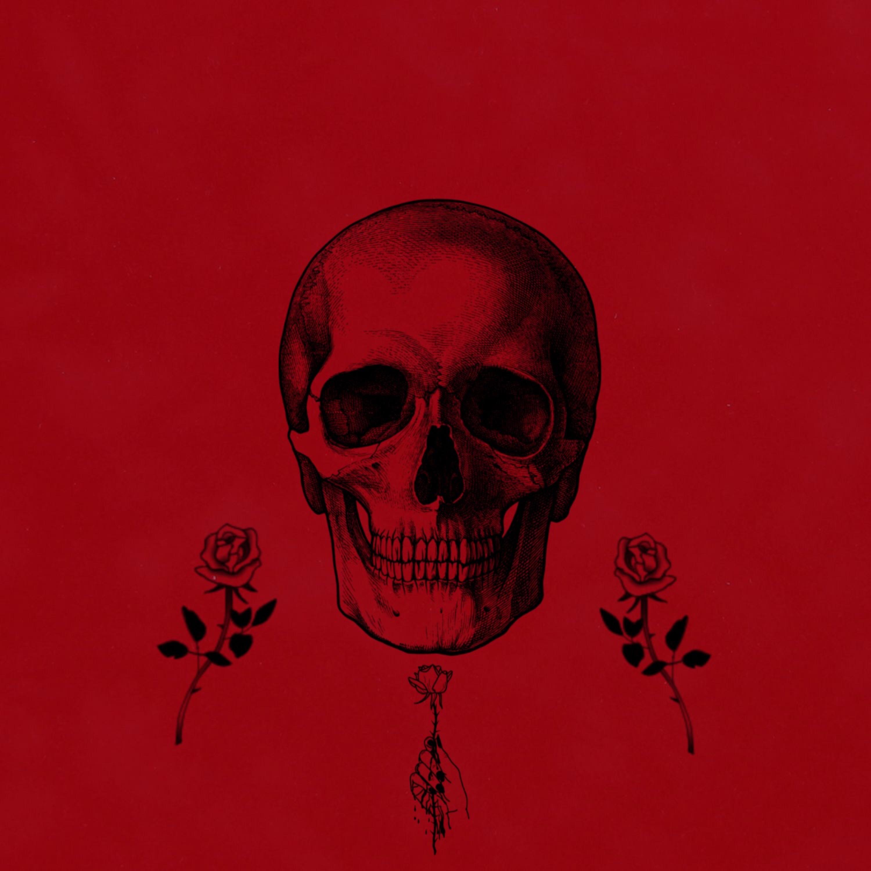 RED SKELETONZ artwork