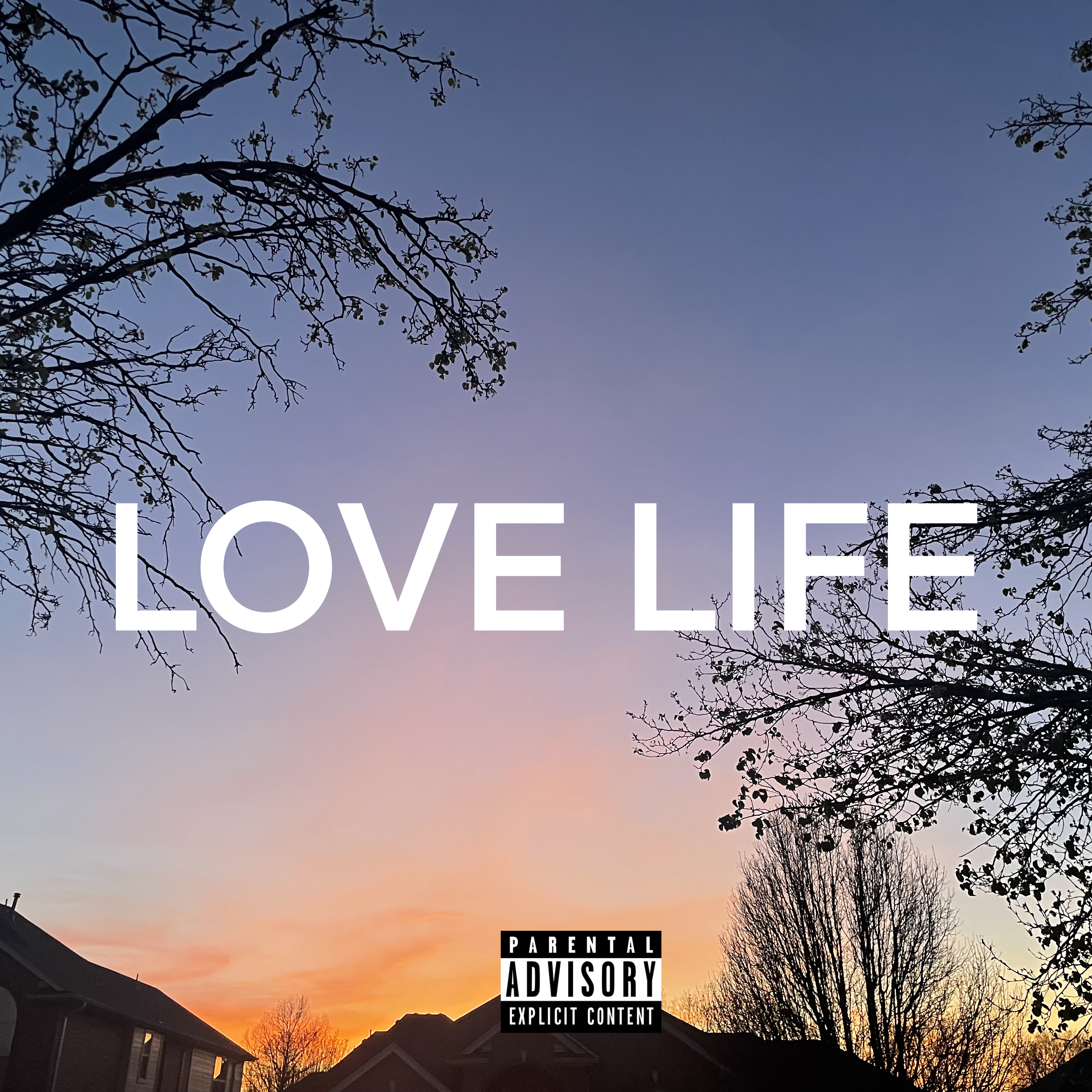 Love Life artwork