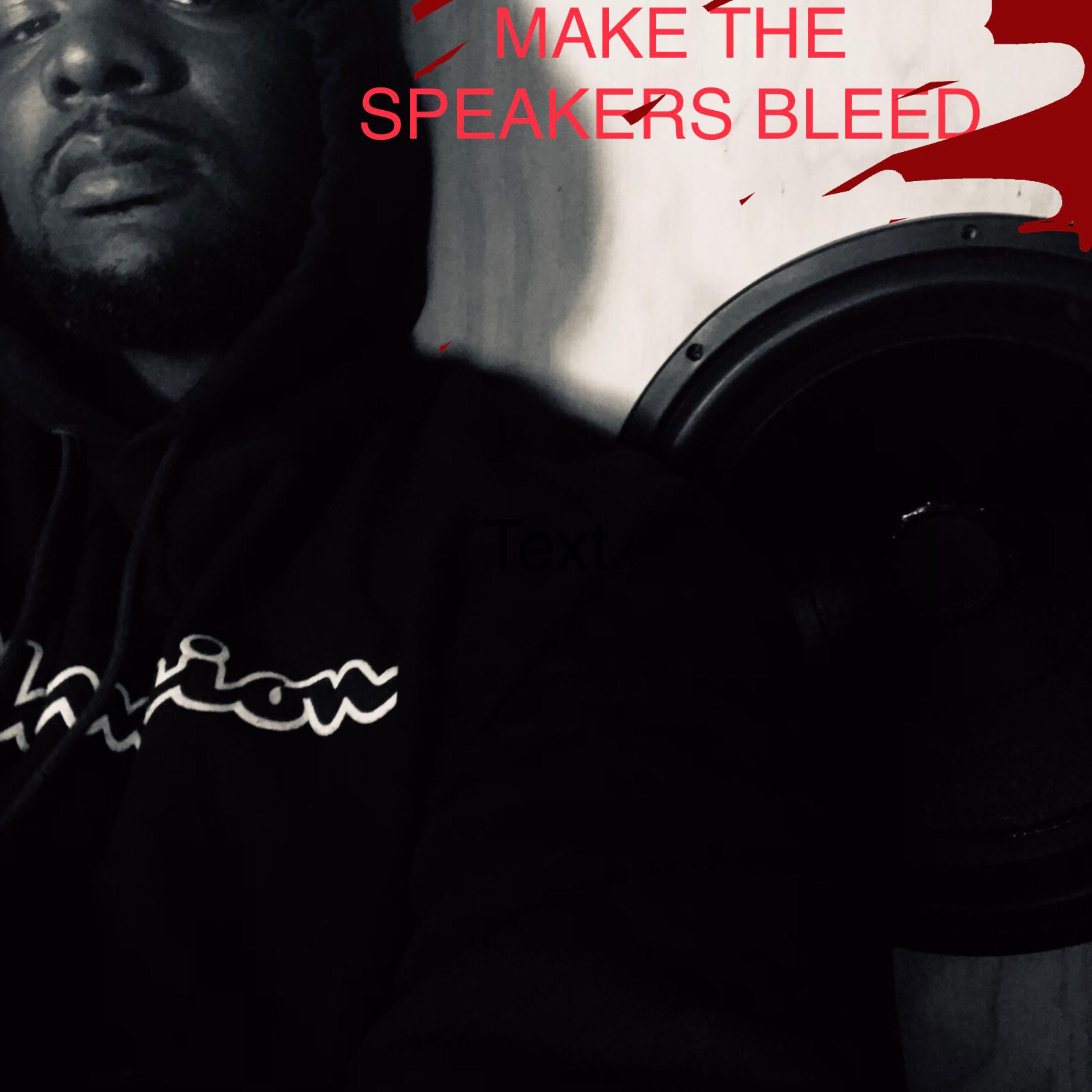 MAKE THE SPEAKERS BLEED artwork