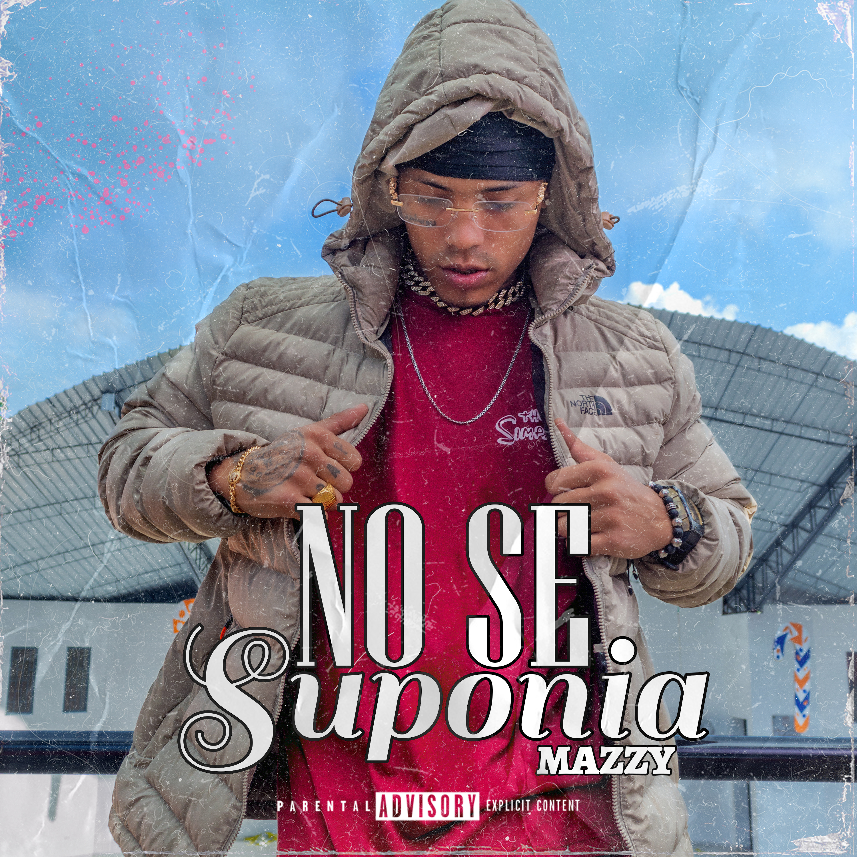 no se suponía artwork