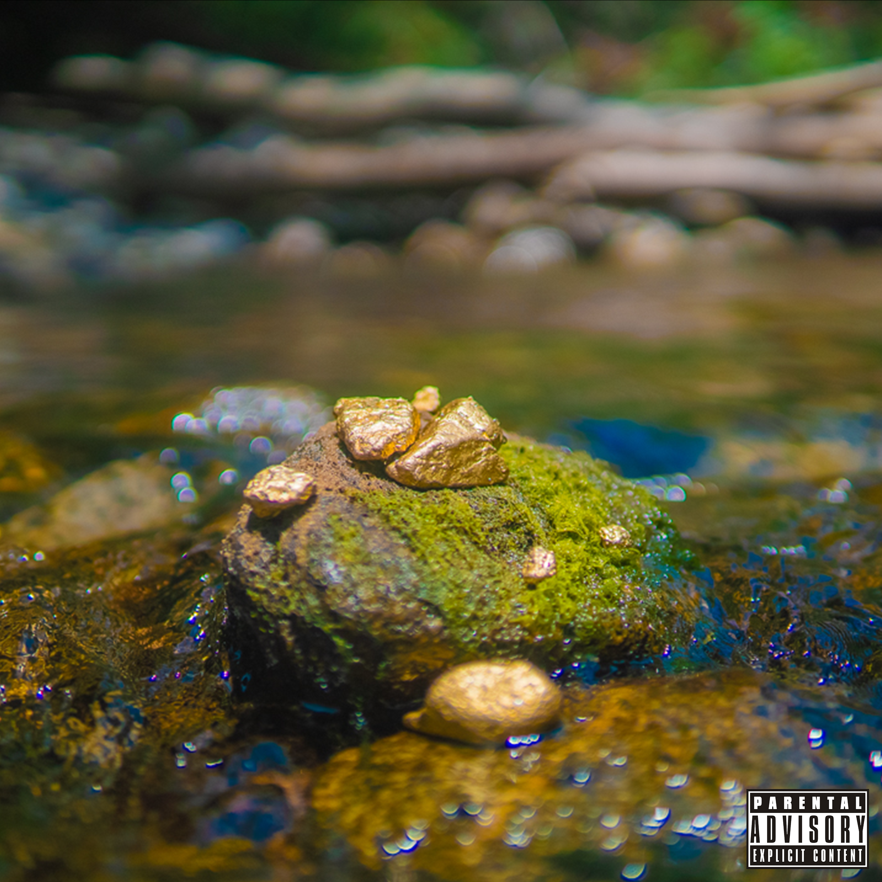 Gold Rush artwork