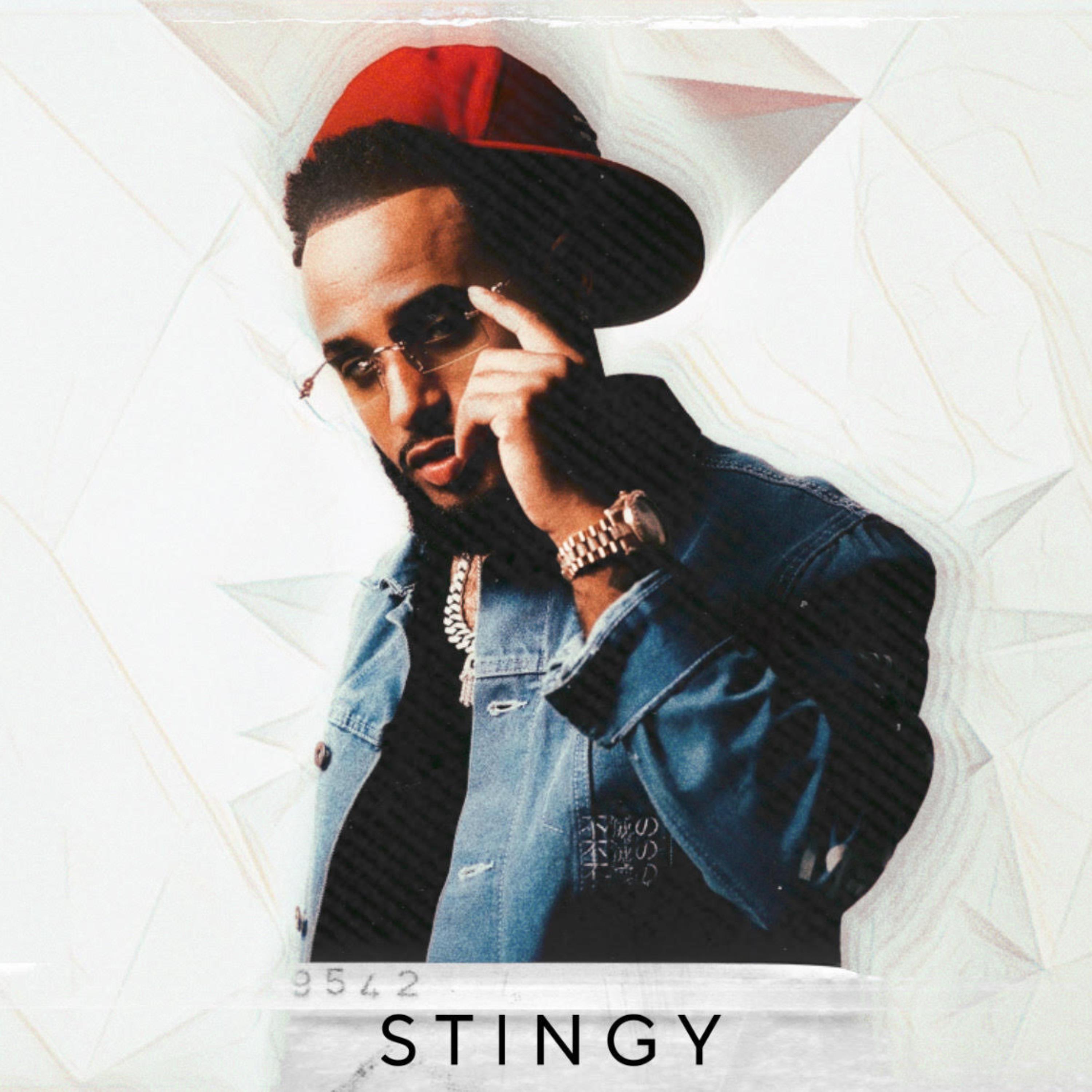 Stingy by Yung Amelly cover art