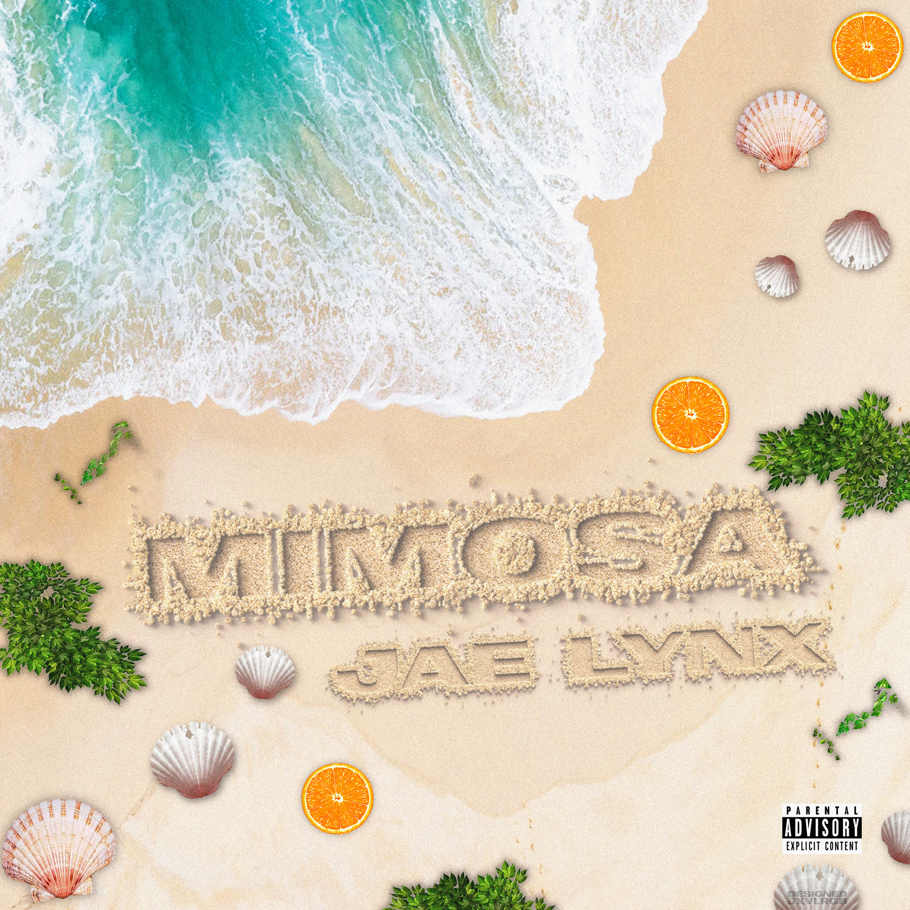 Mimosa artwork