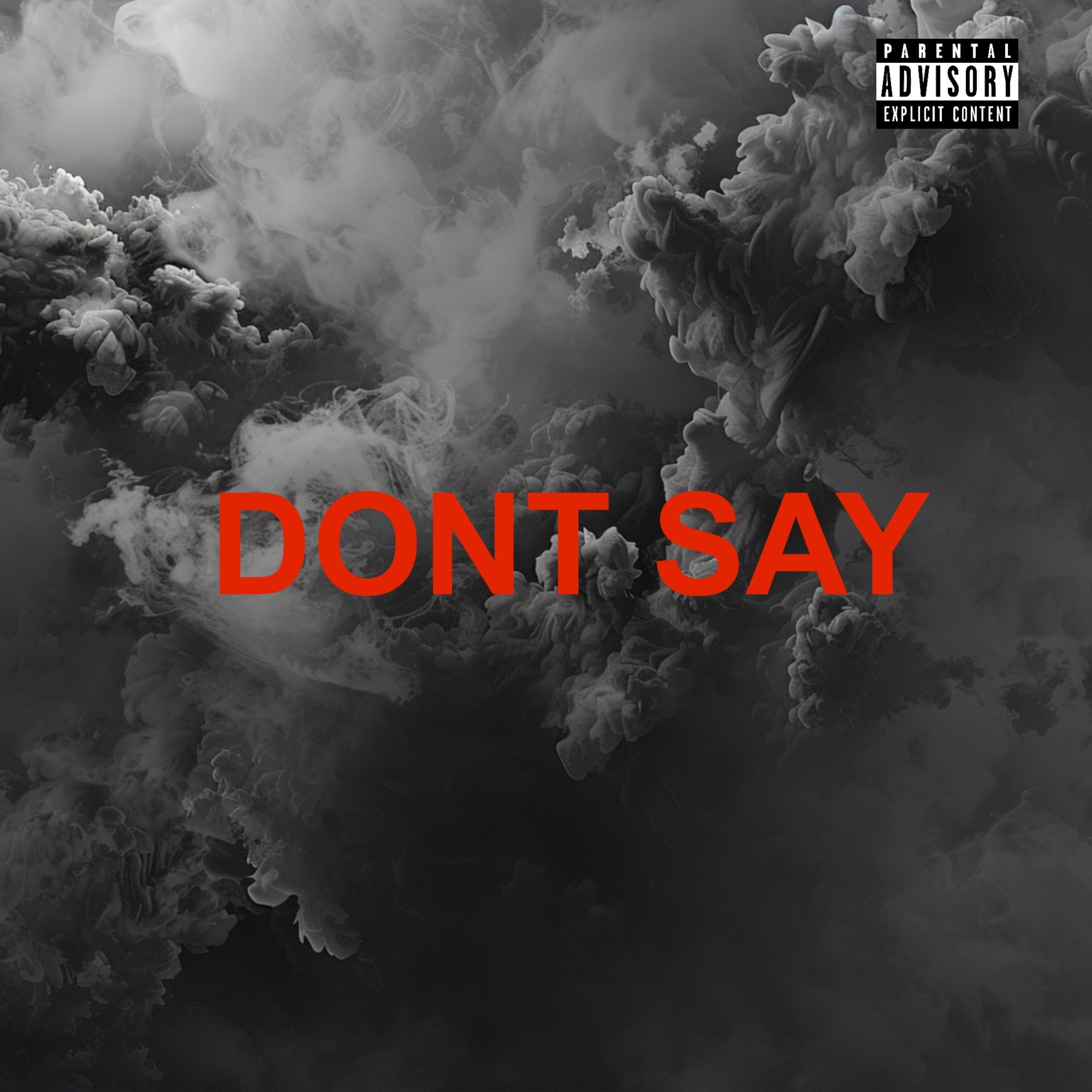 Don’t Say by Maritime300 cover art
