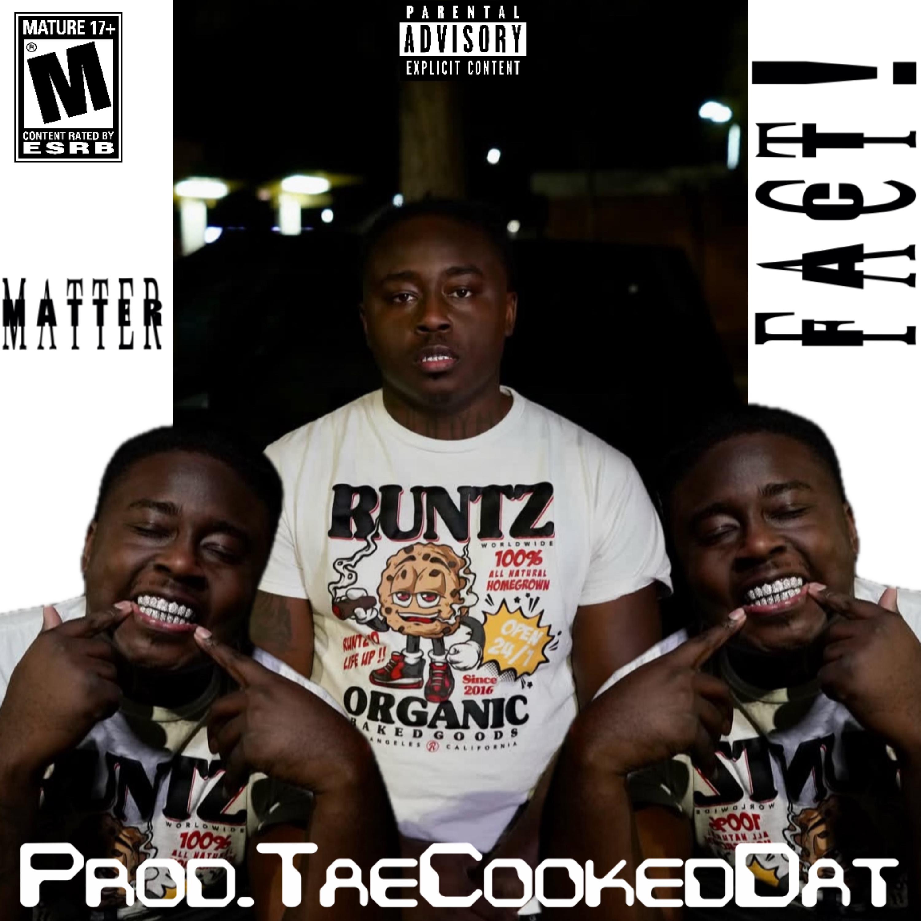MATTER FACT artwork