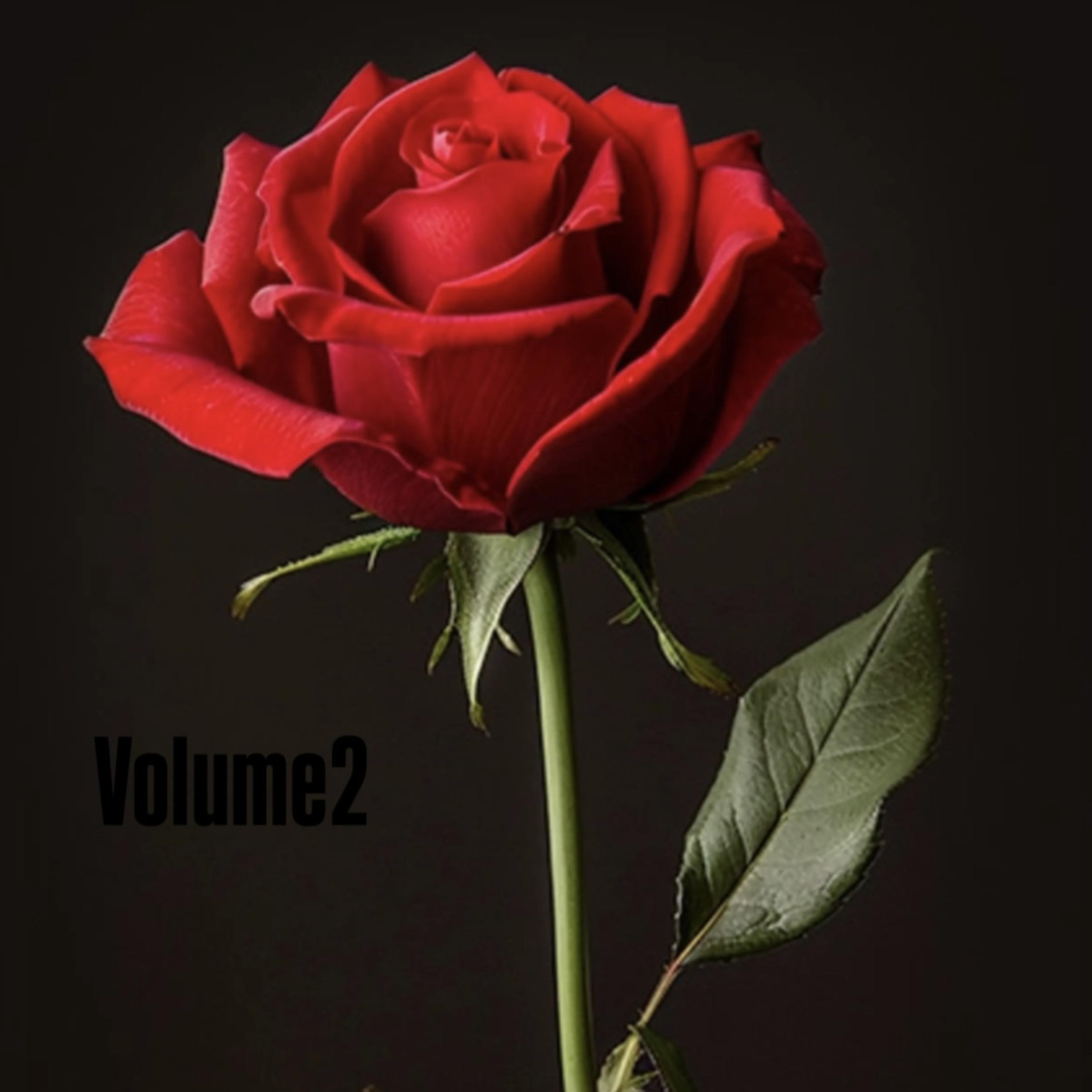 Volume2 by Sken cover art