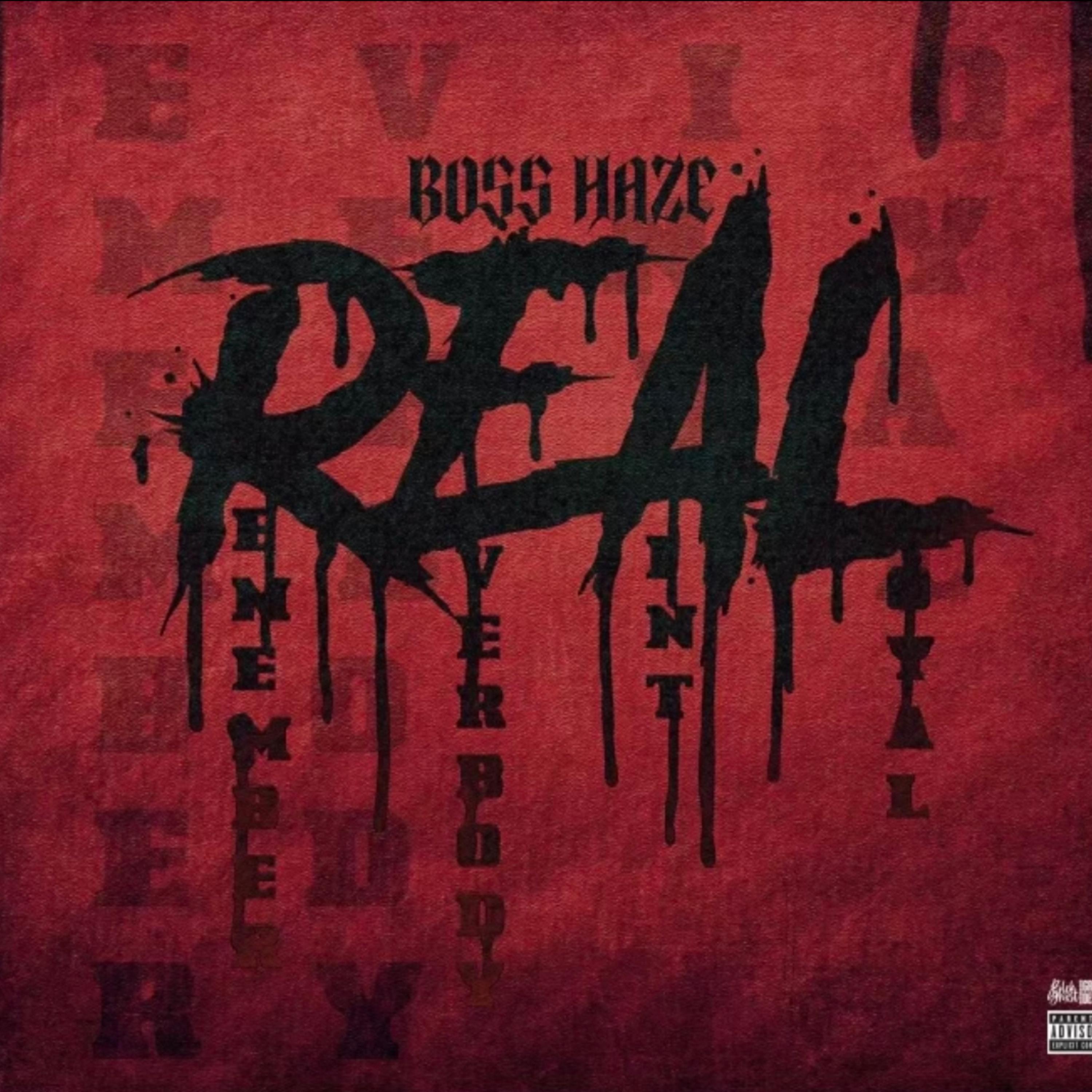 Remember Everybody Aint Loyal artwork