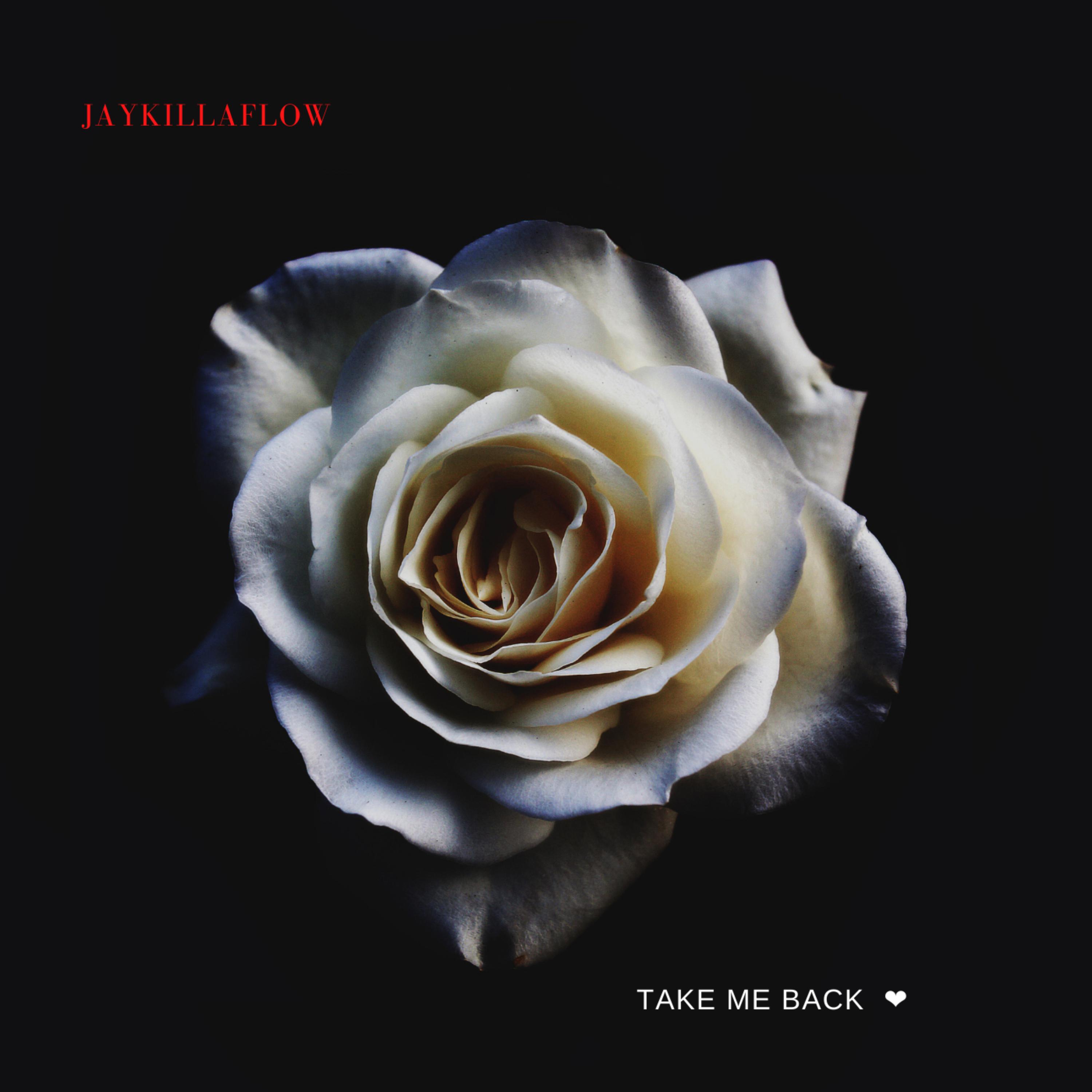 Take Me Back artwork
