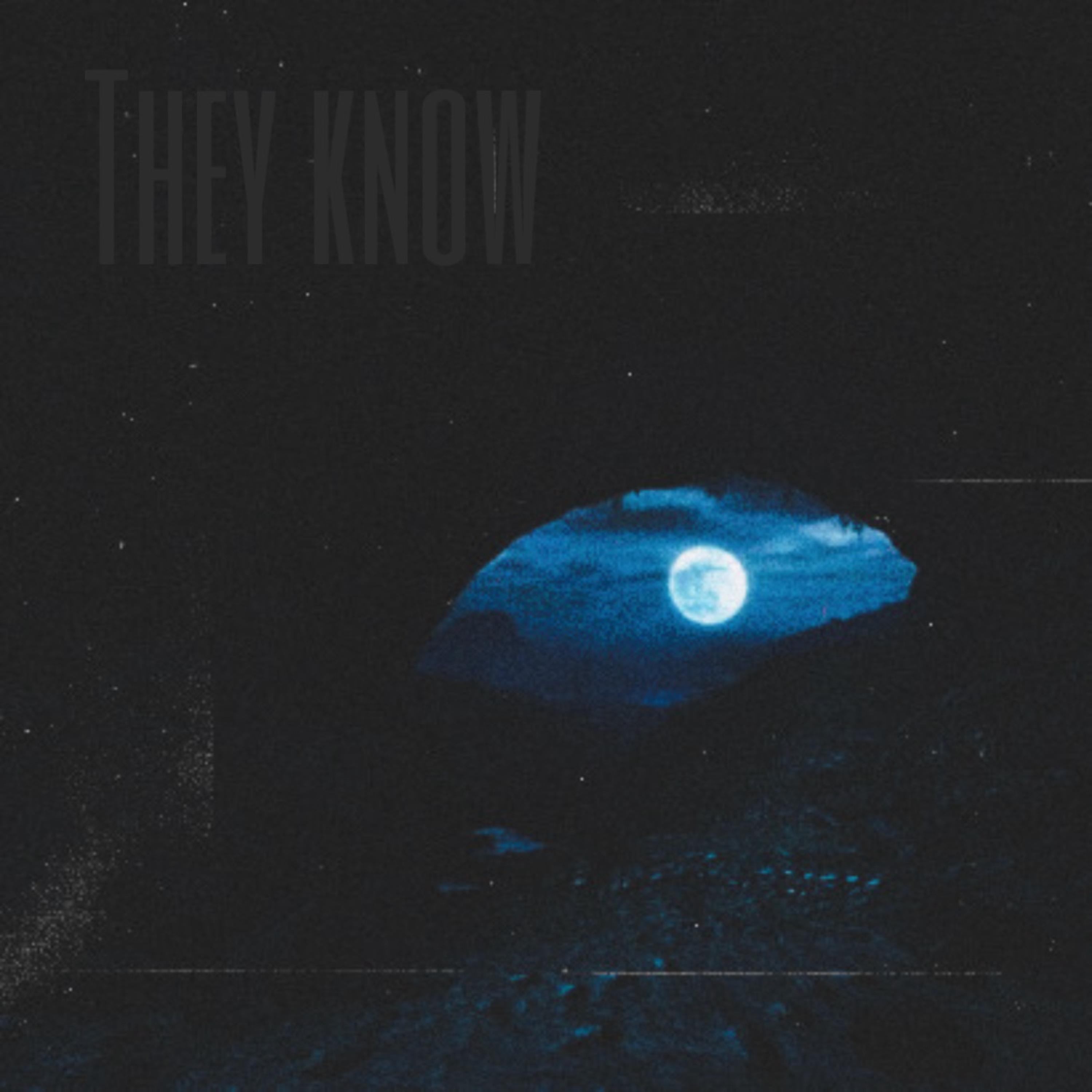 They Know artwork