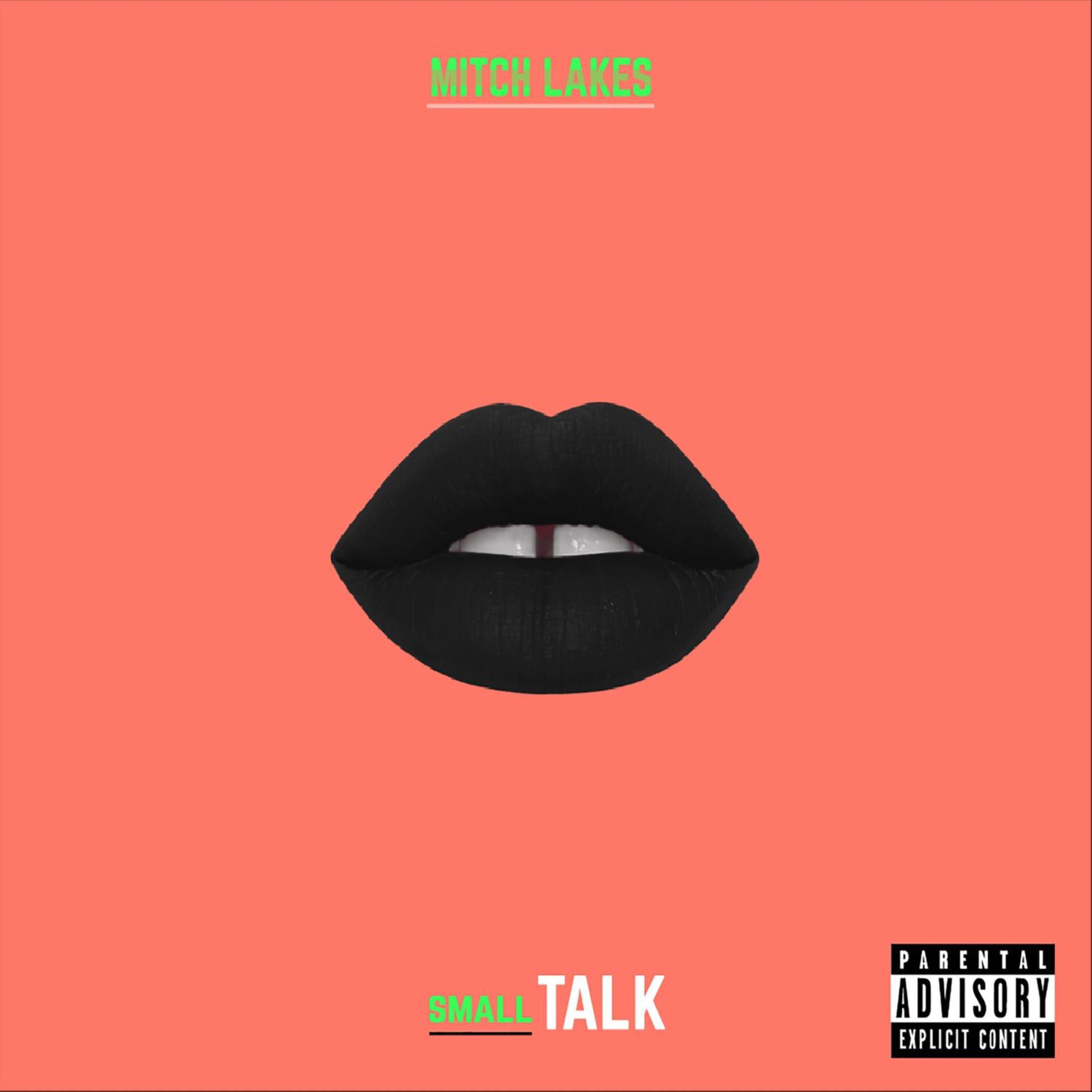 Small Talk artwork