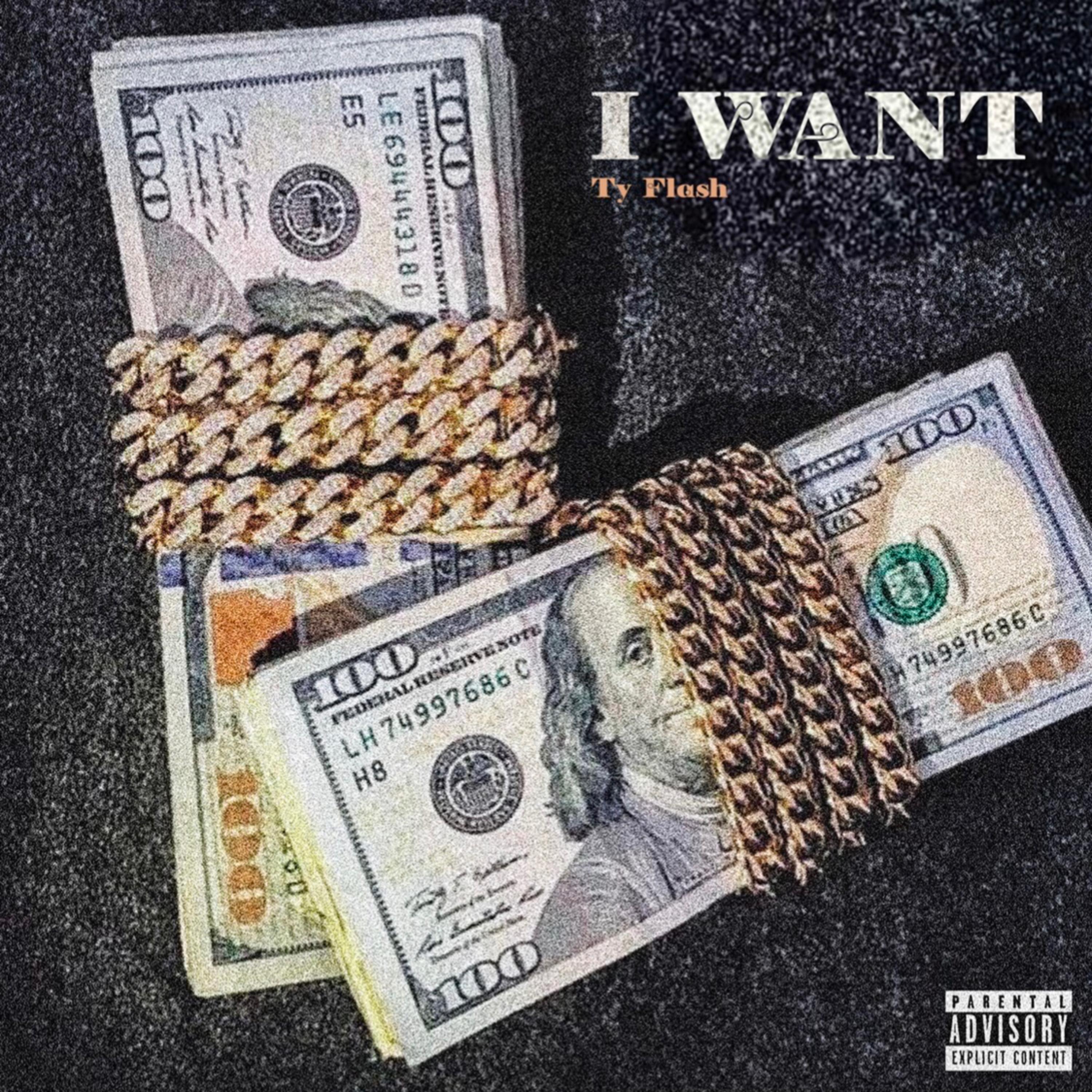 I Want by Ty Flash cover art