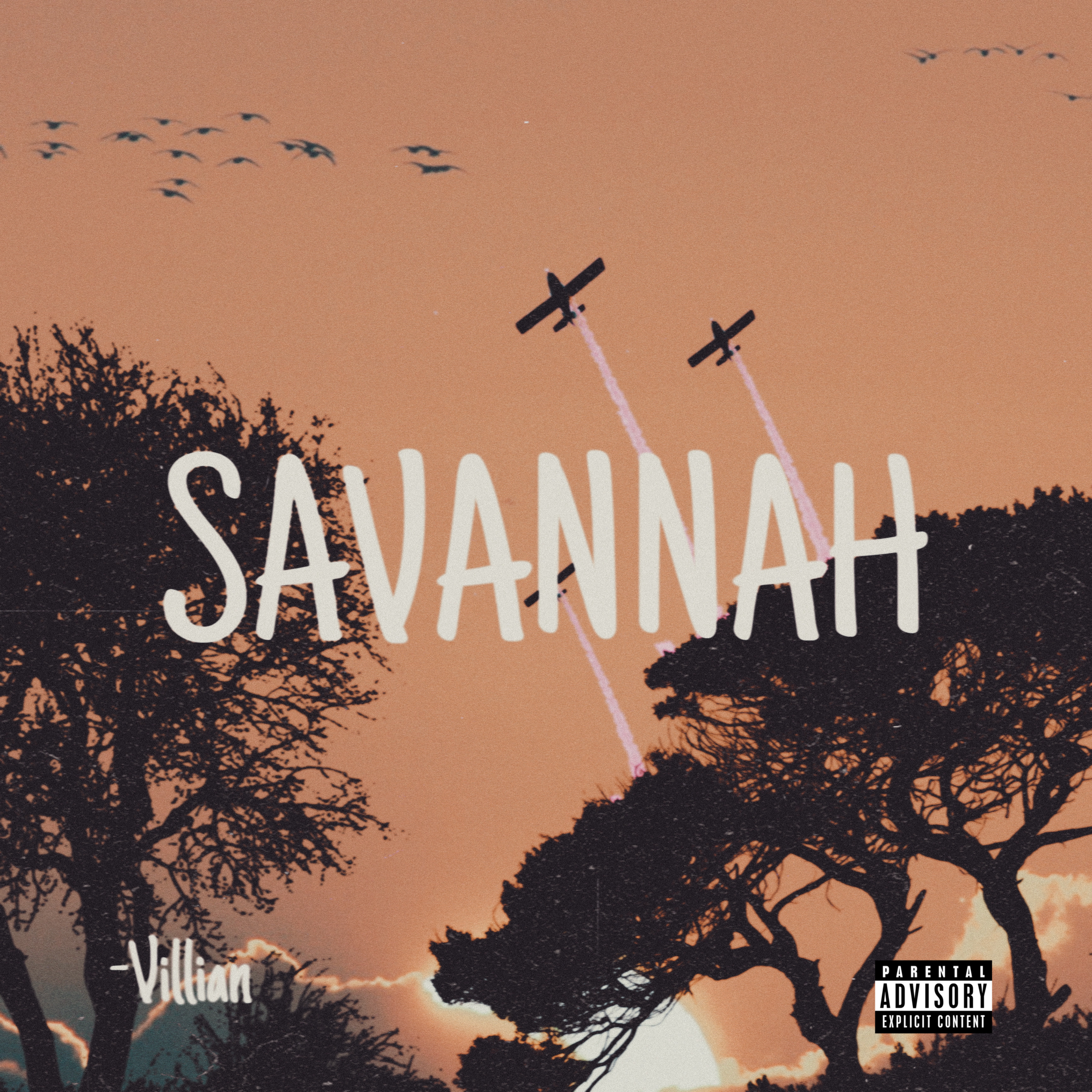 Savannah artwork