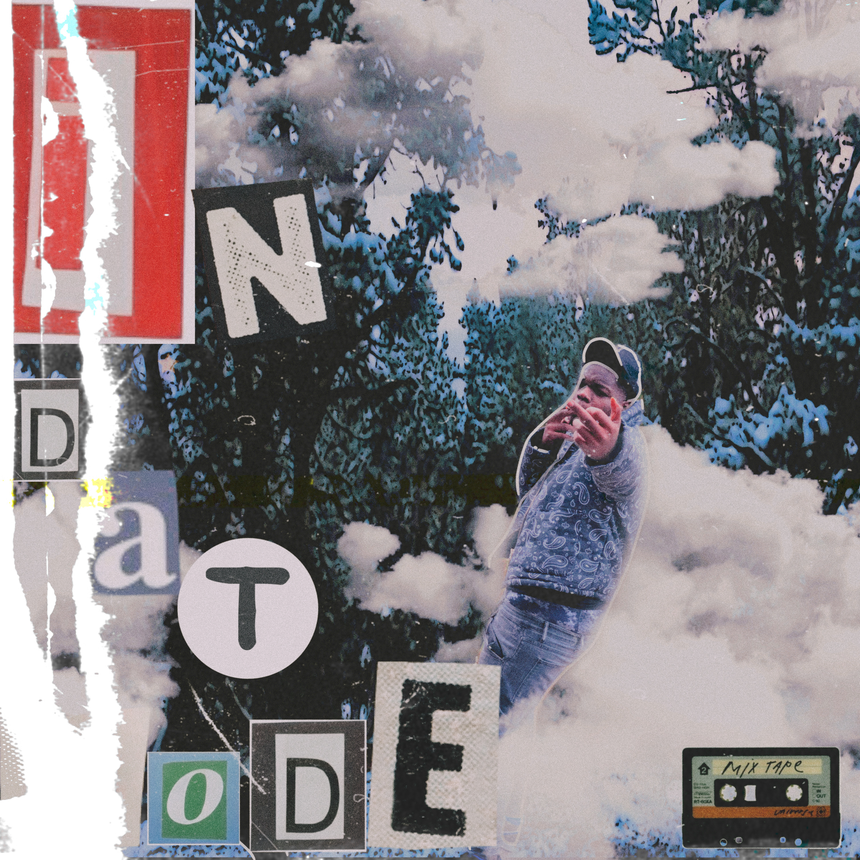 IN DAT MODE  artwork