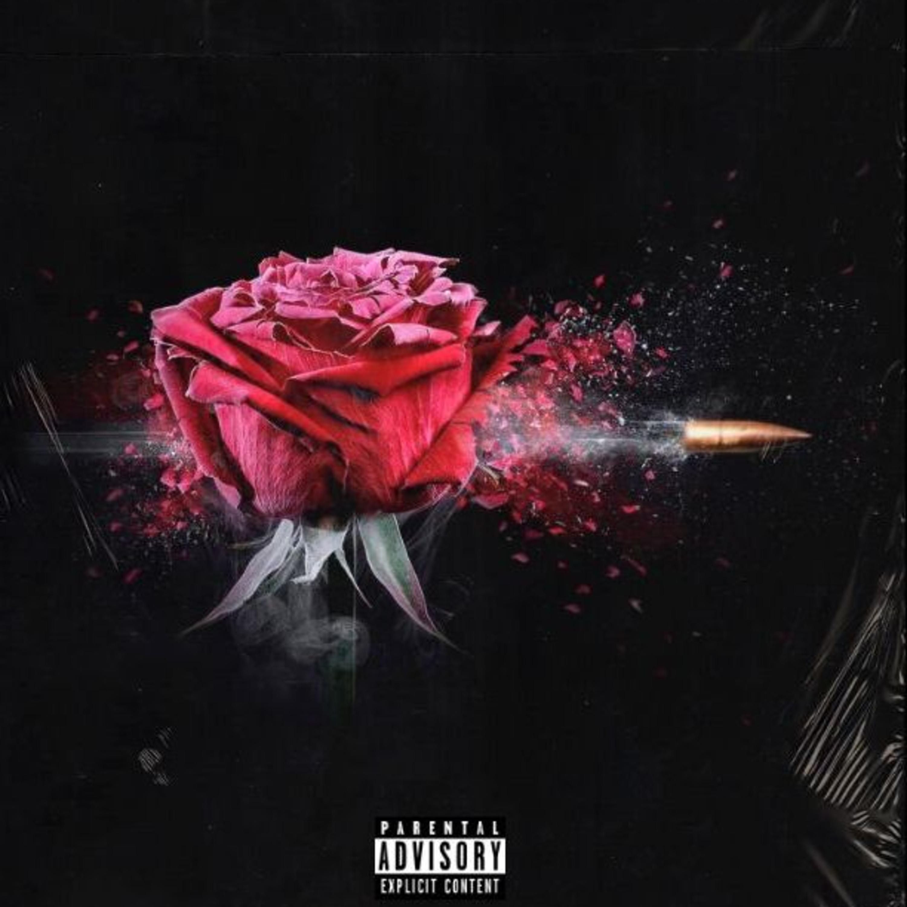 HIM artwork