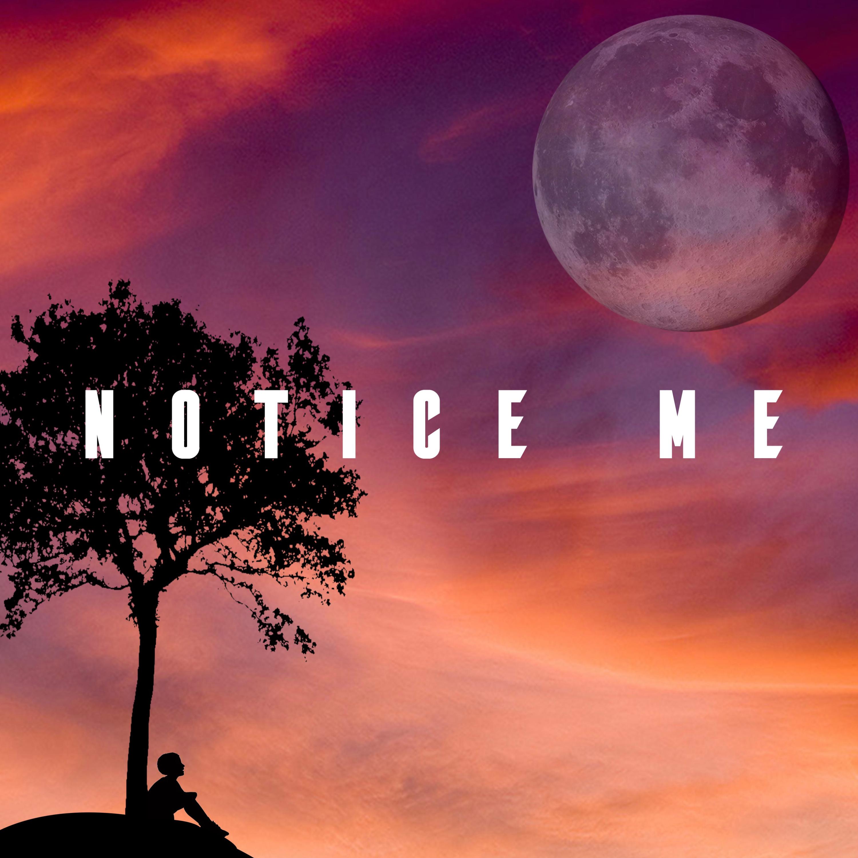 Notice Me artwork