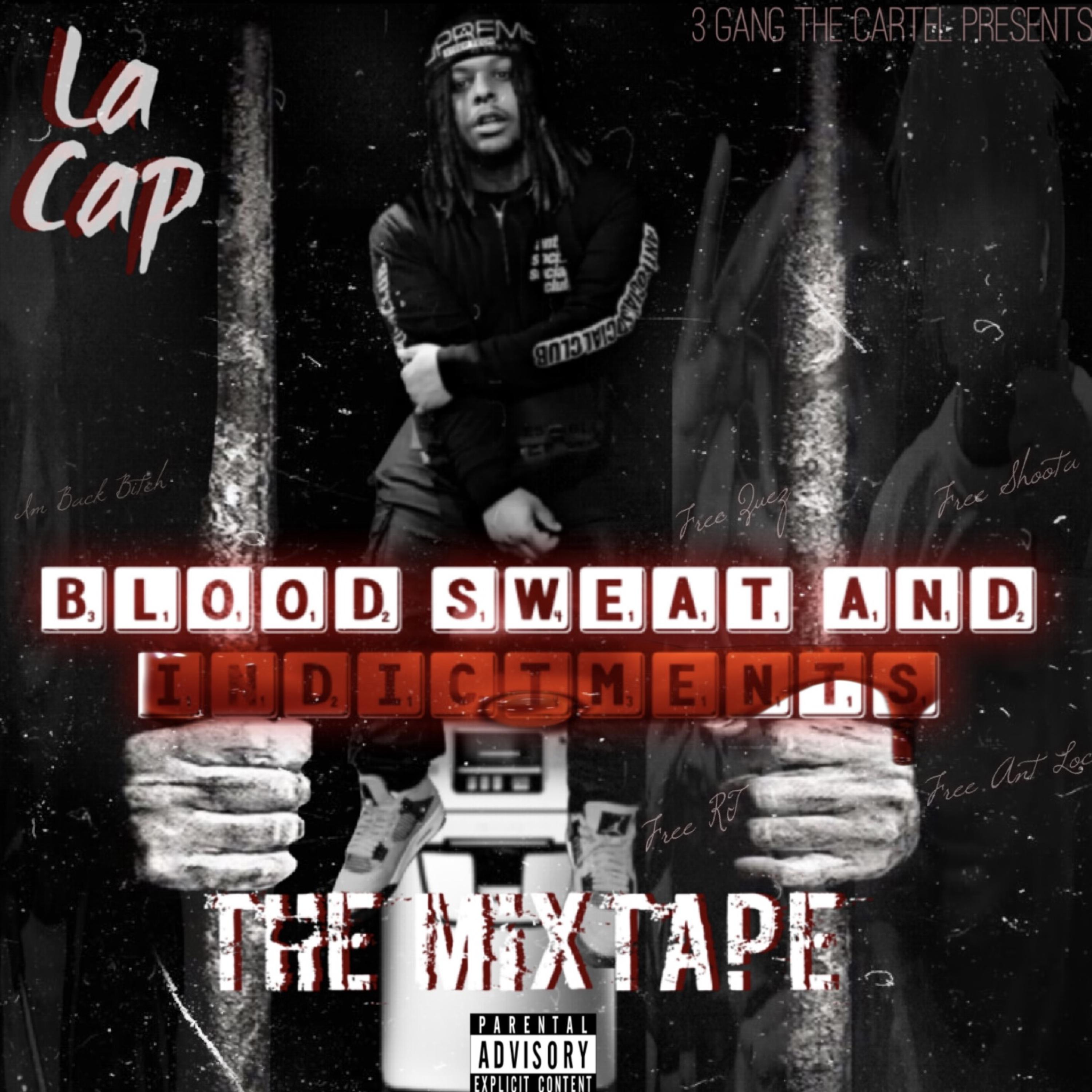 Blood Sweat And Indictments artwork