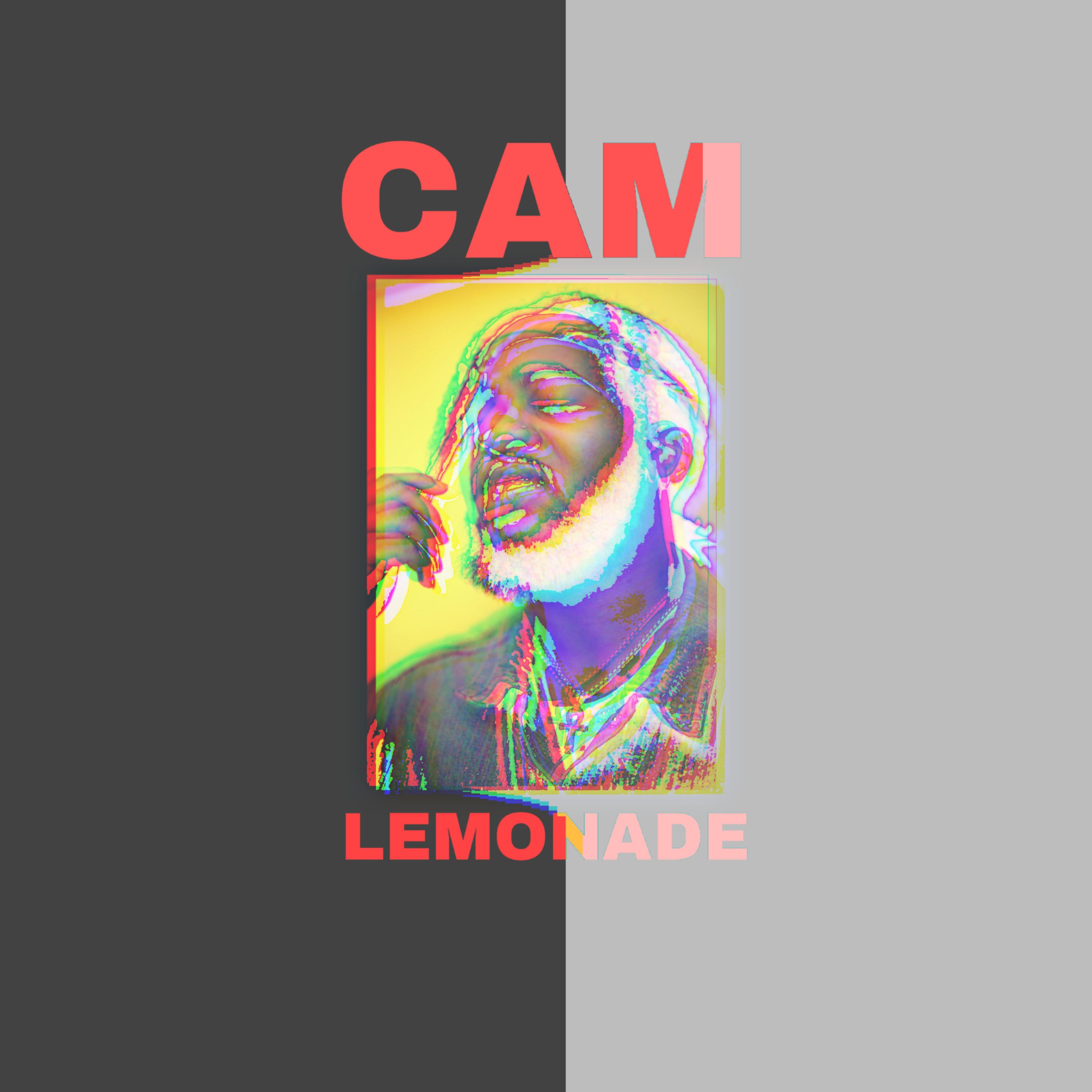 LEMONADE artwork
