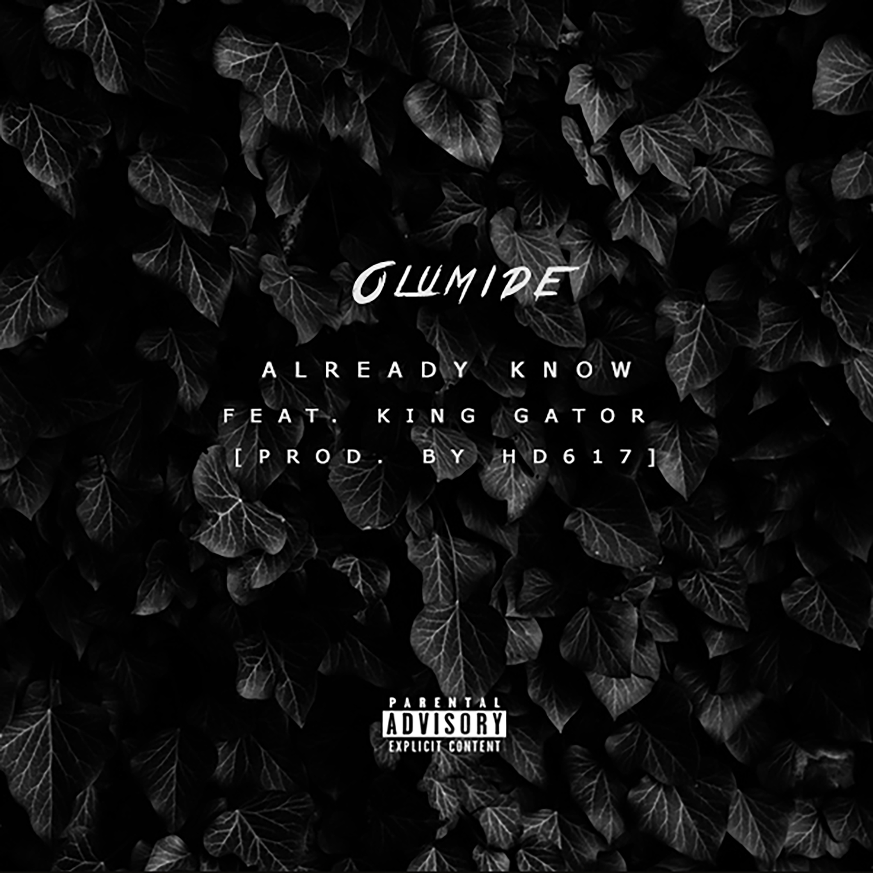 Already Know artwork