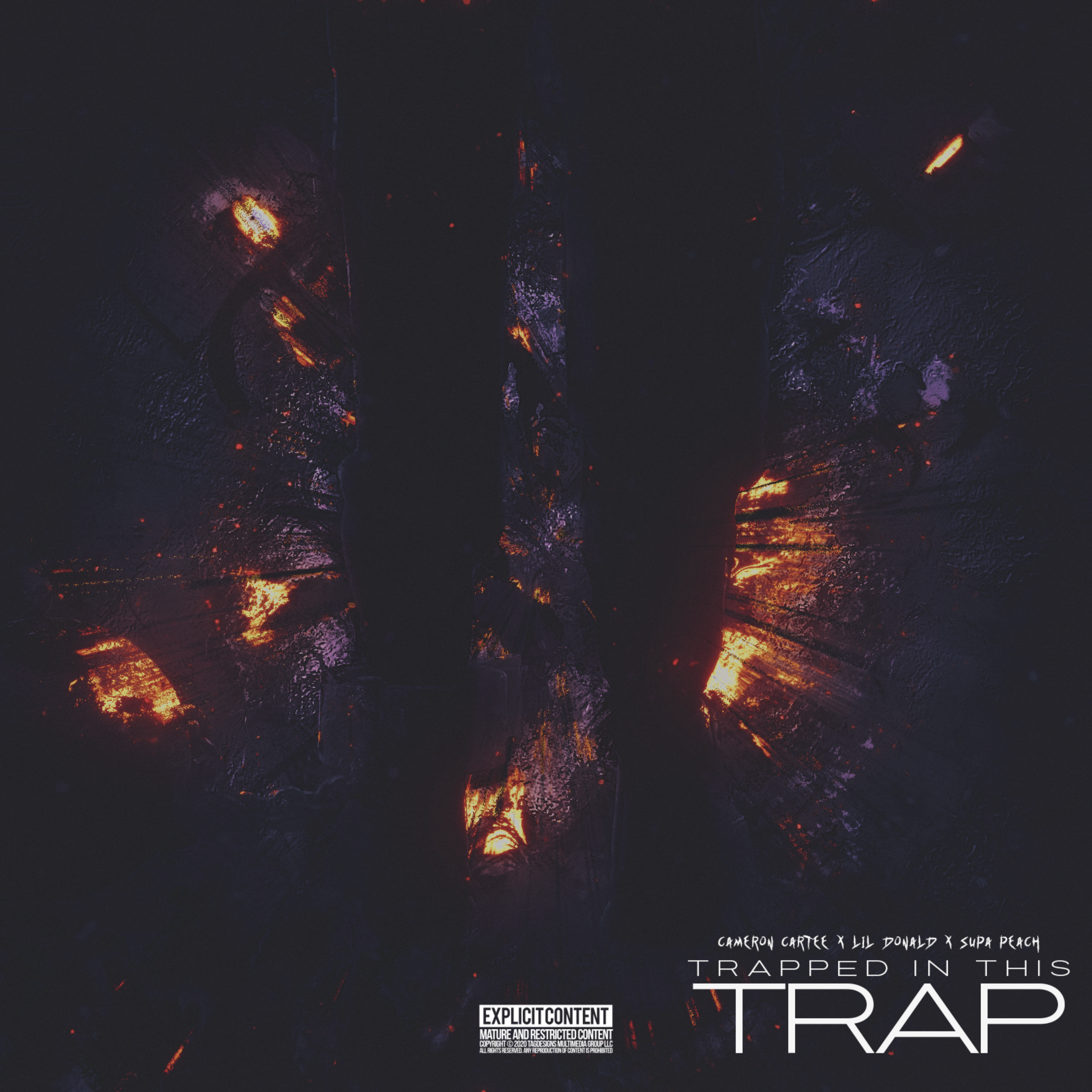 Trapped In This Trap artwork