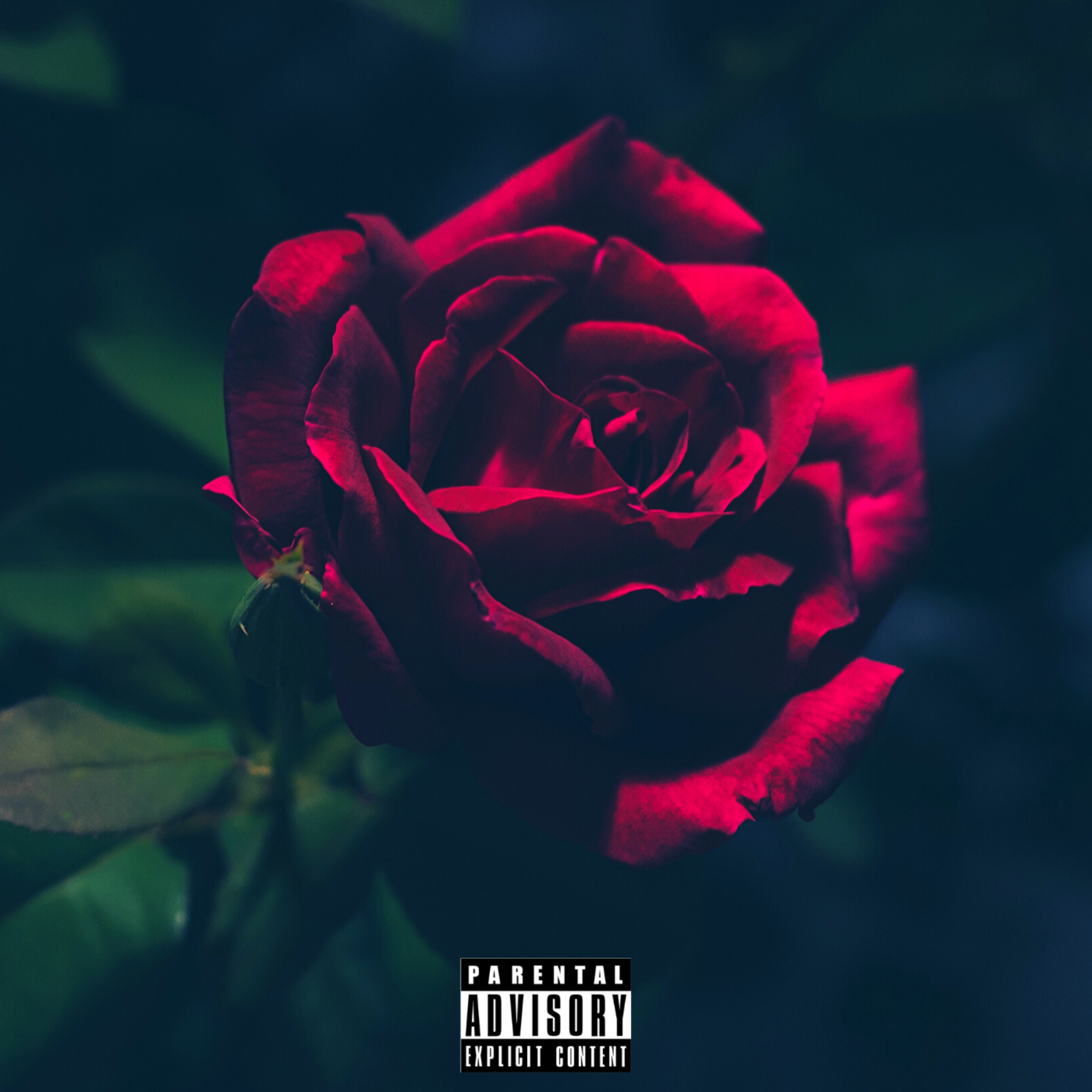 What They Say artwork