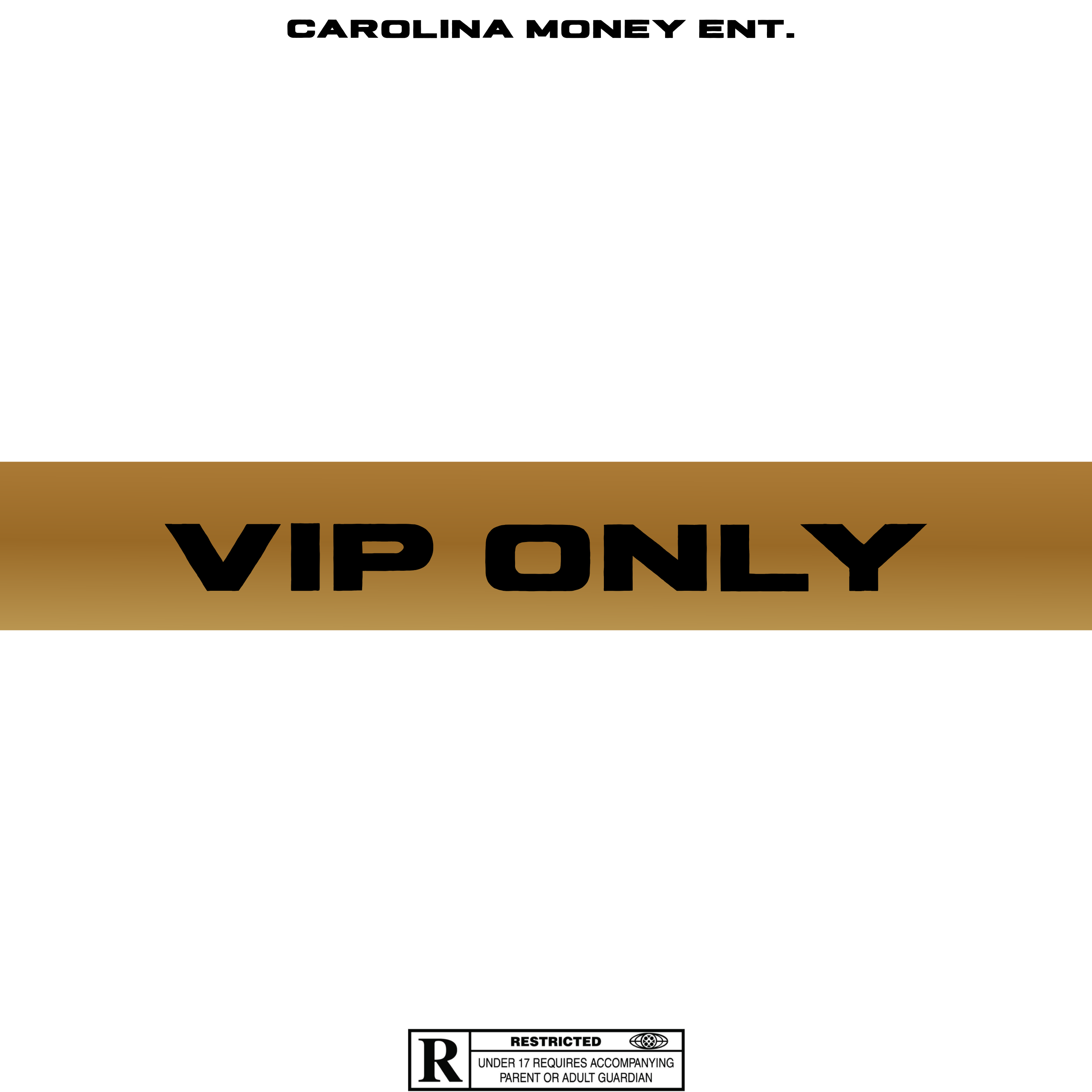 VIP SECTION by BANX cover art