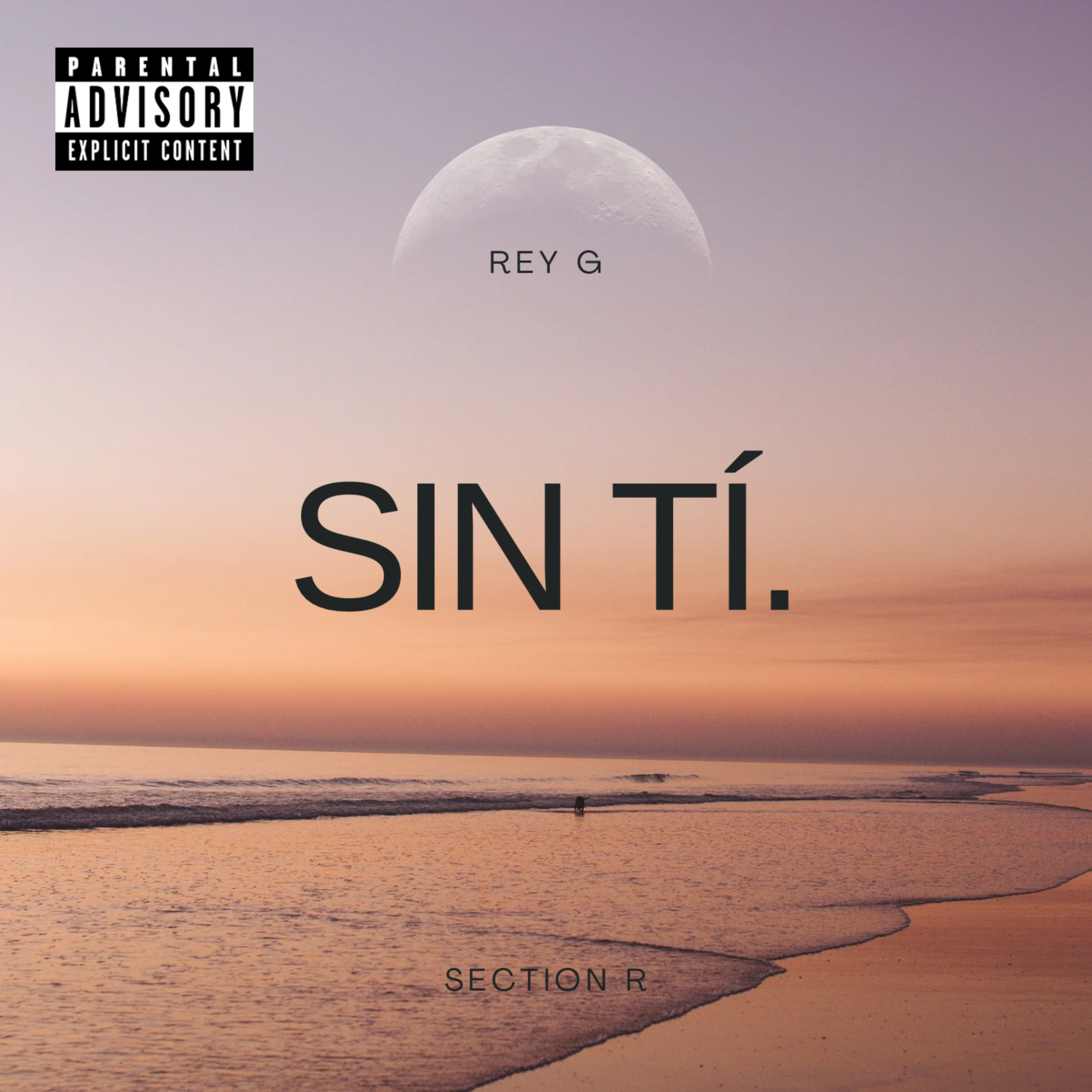 Sin Ti artwork