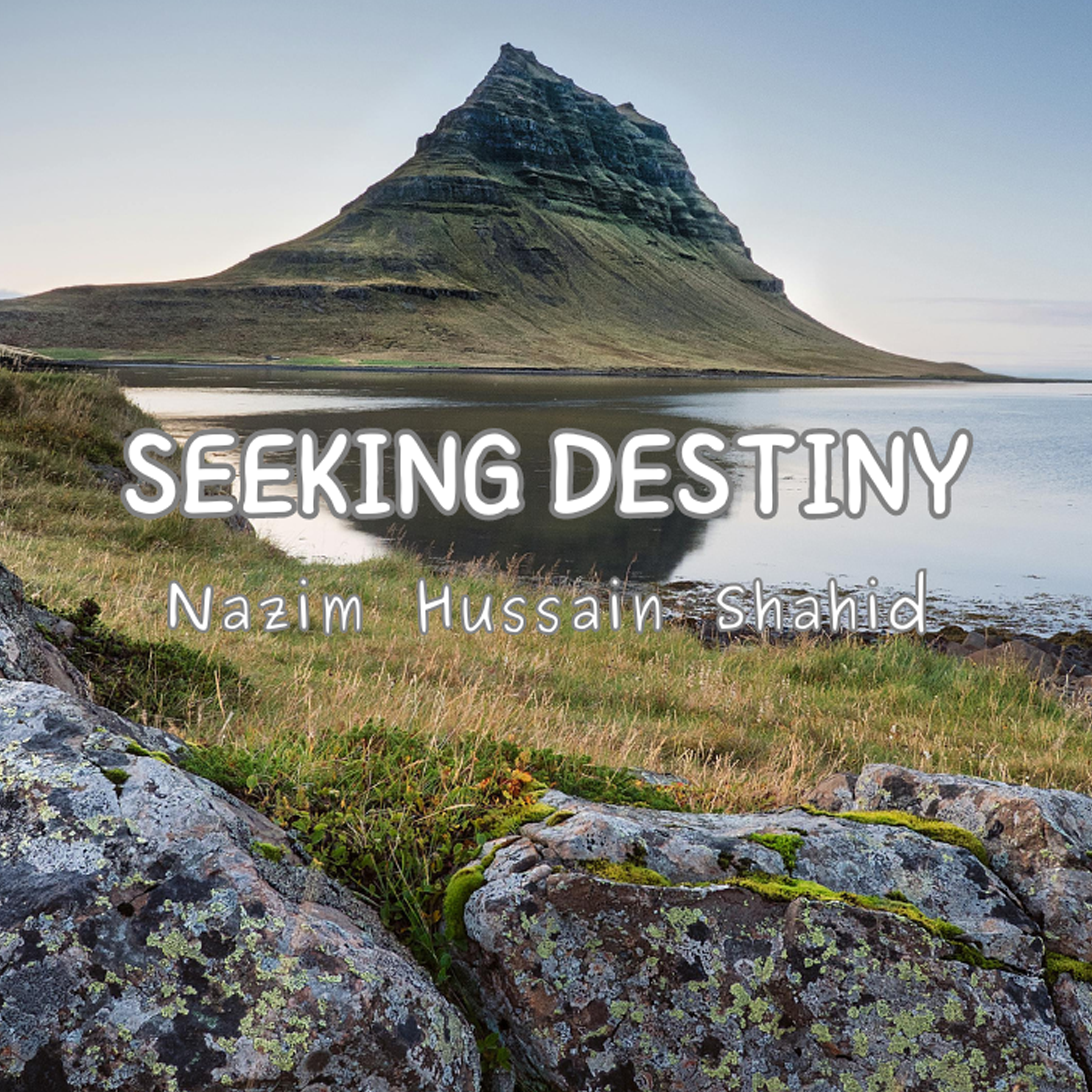 Seeking Destiny artwork