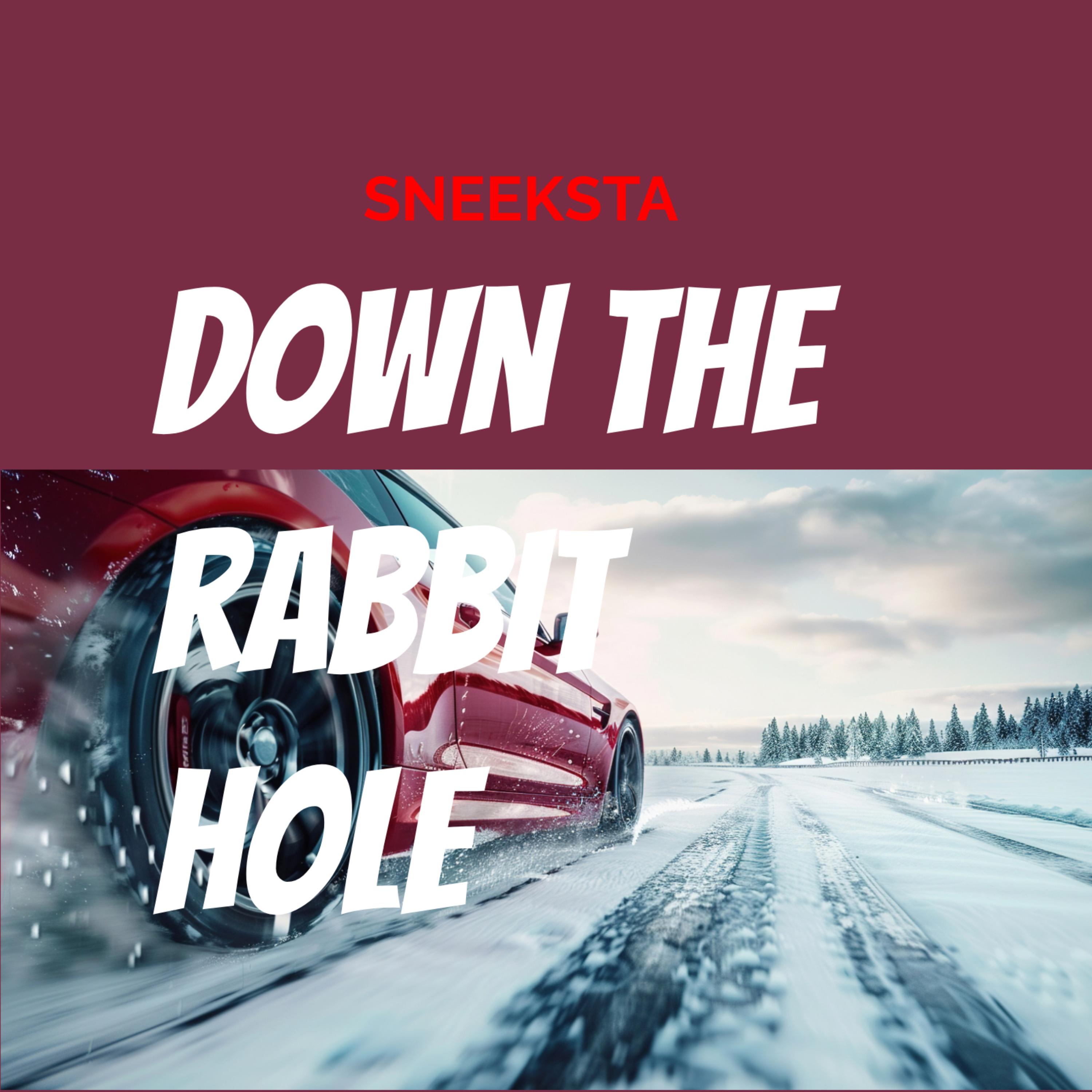 DOWN THE RABBIT HOLE artwork