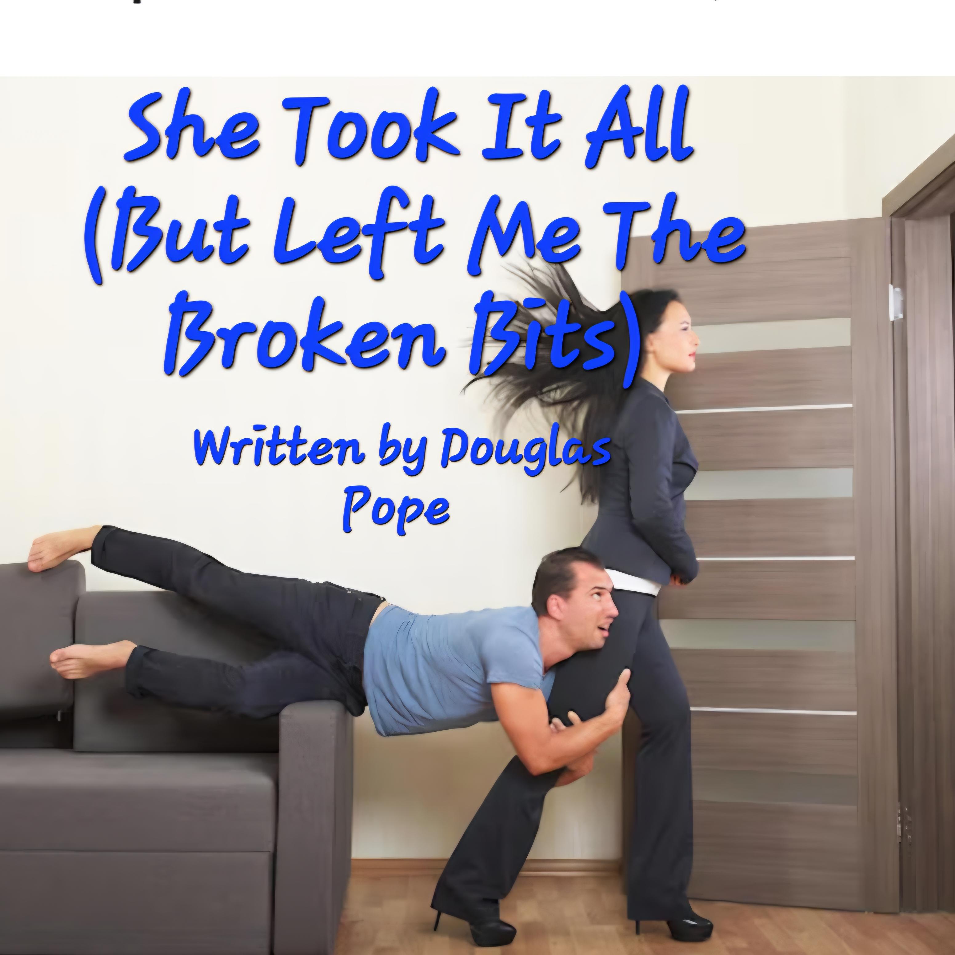 She Took It All (But Left Me The Broken Bits) artwork