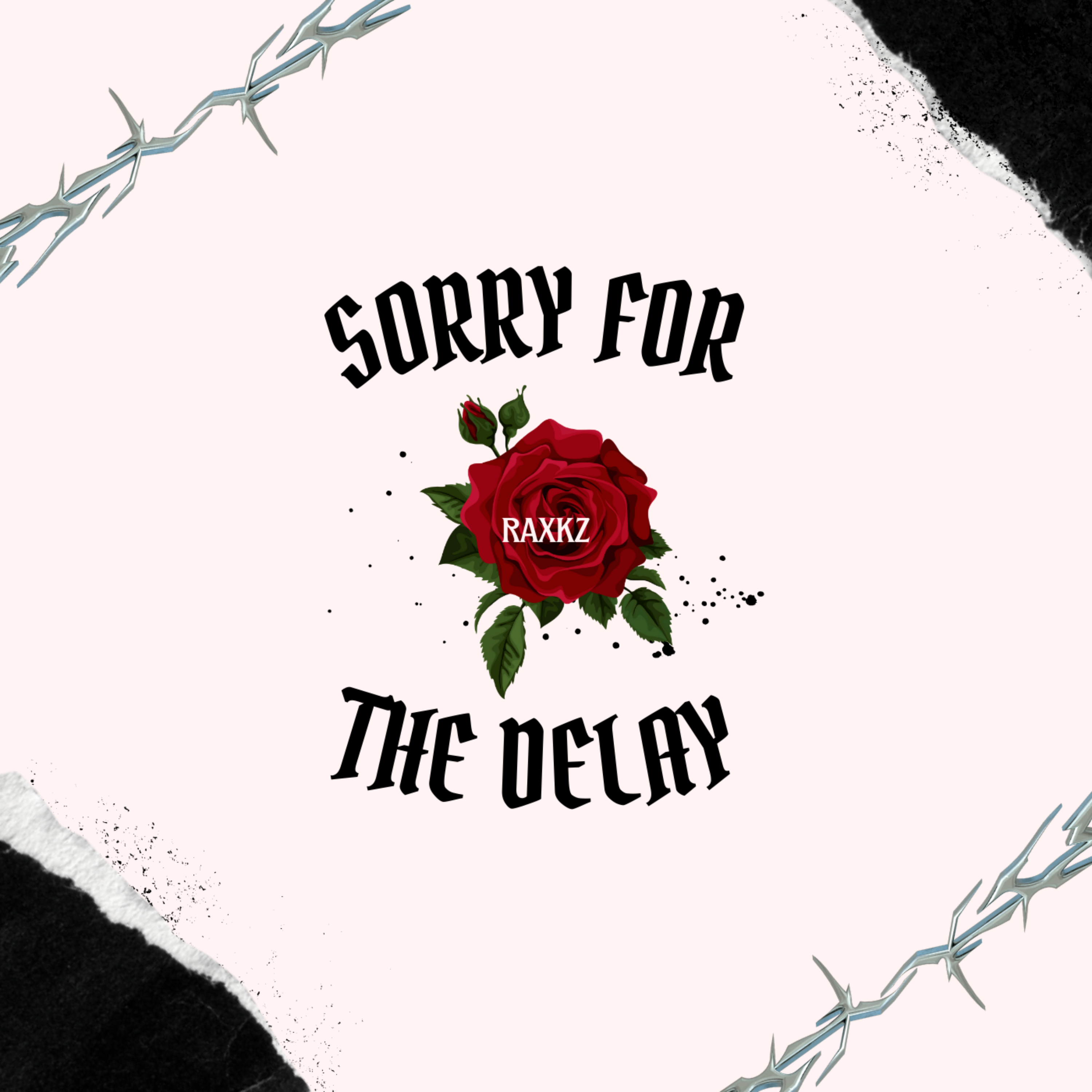 Sorry For The Delay artwork