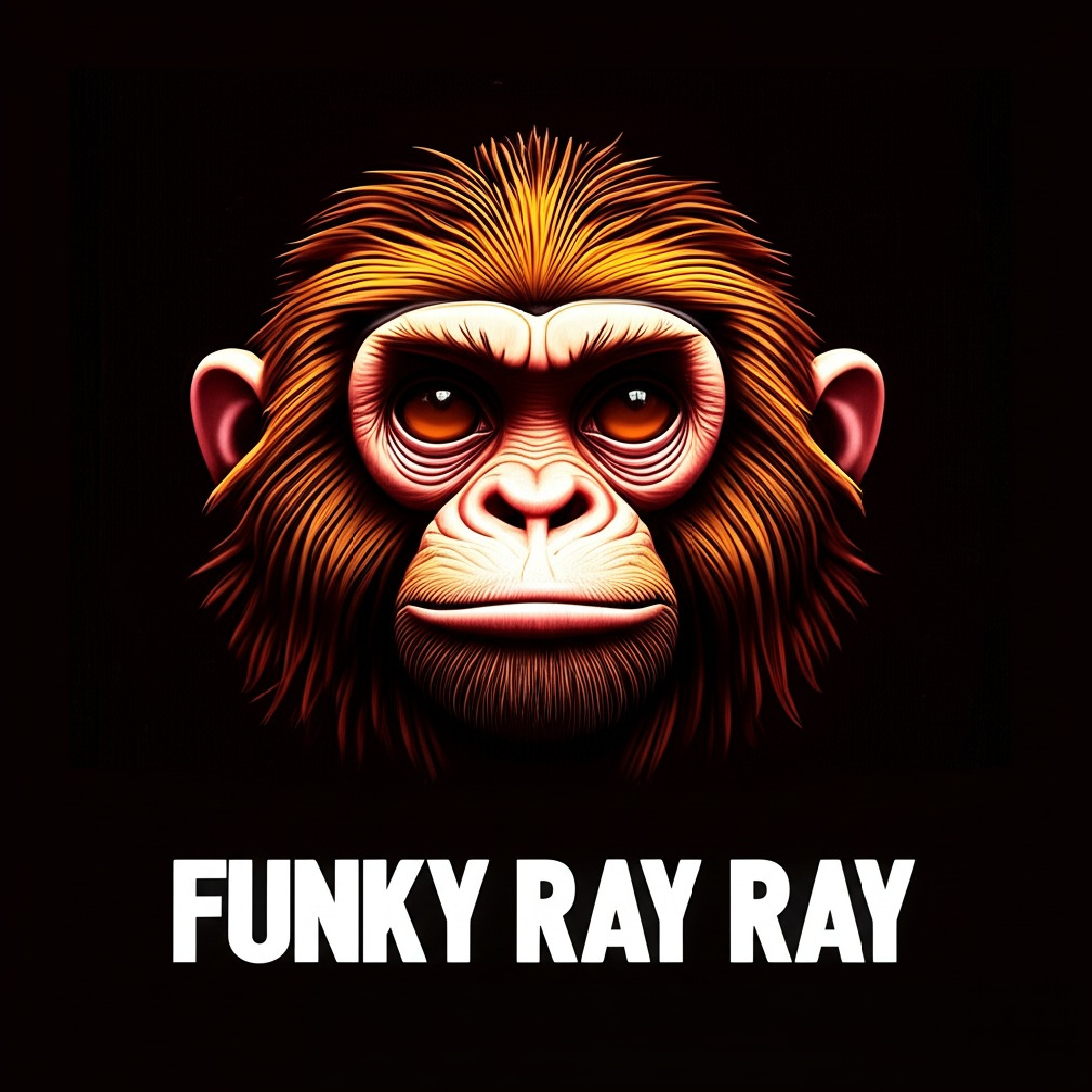 FUNKY RAY RAY artwork