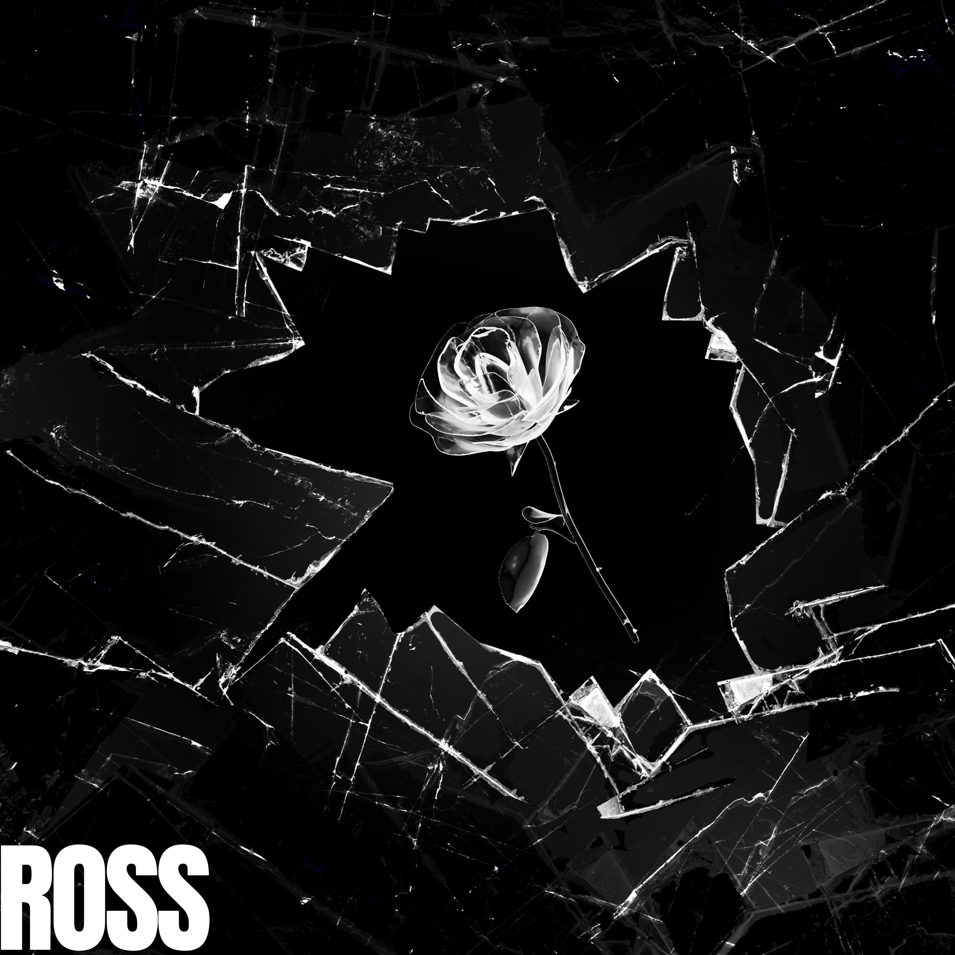 Ross artwork