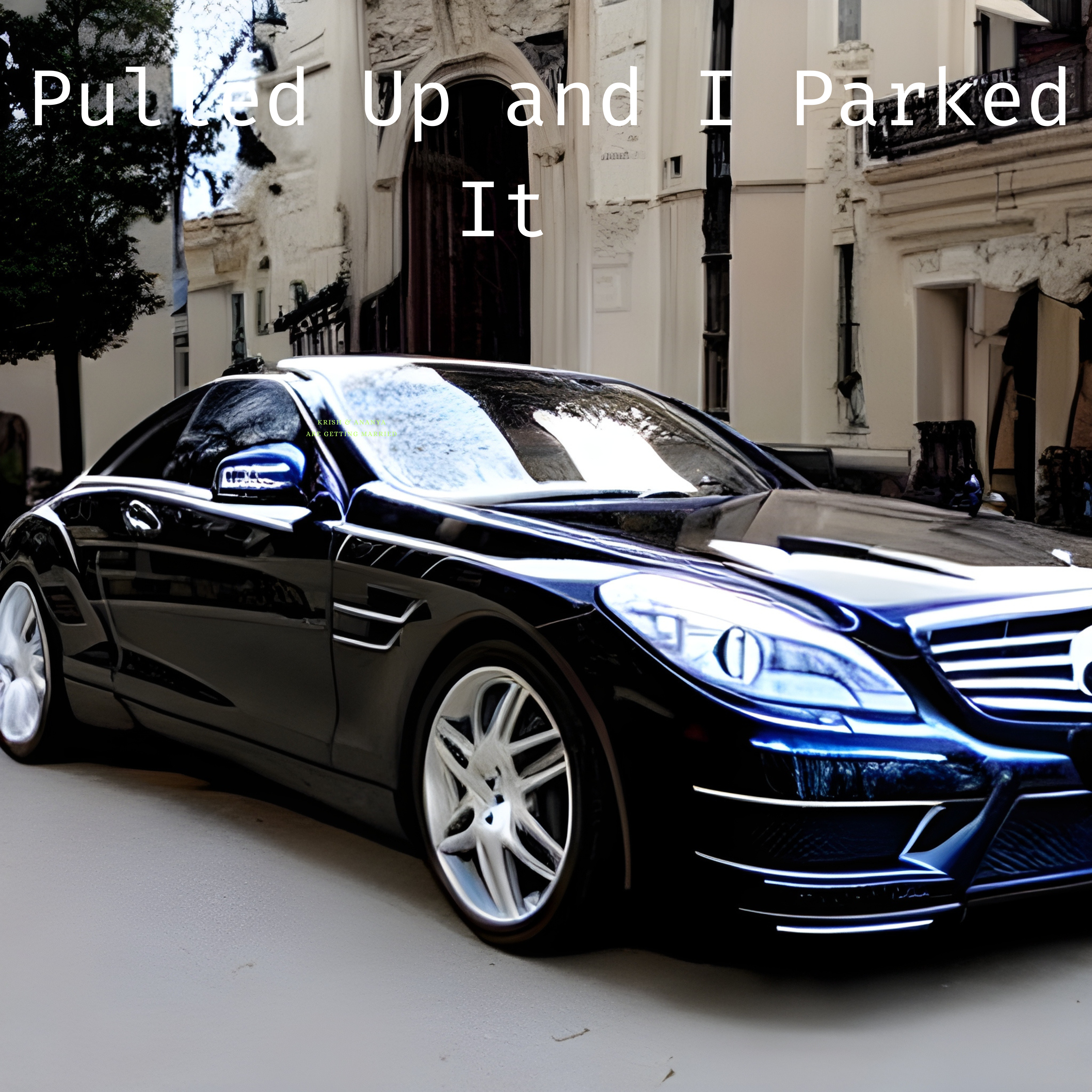 Pulled Up and I Parked It artwork