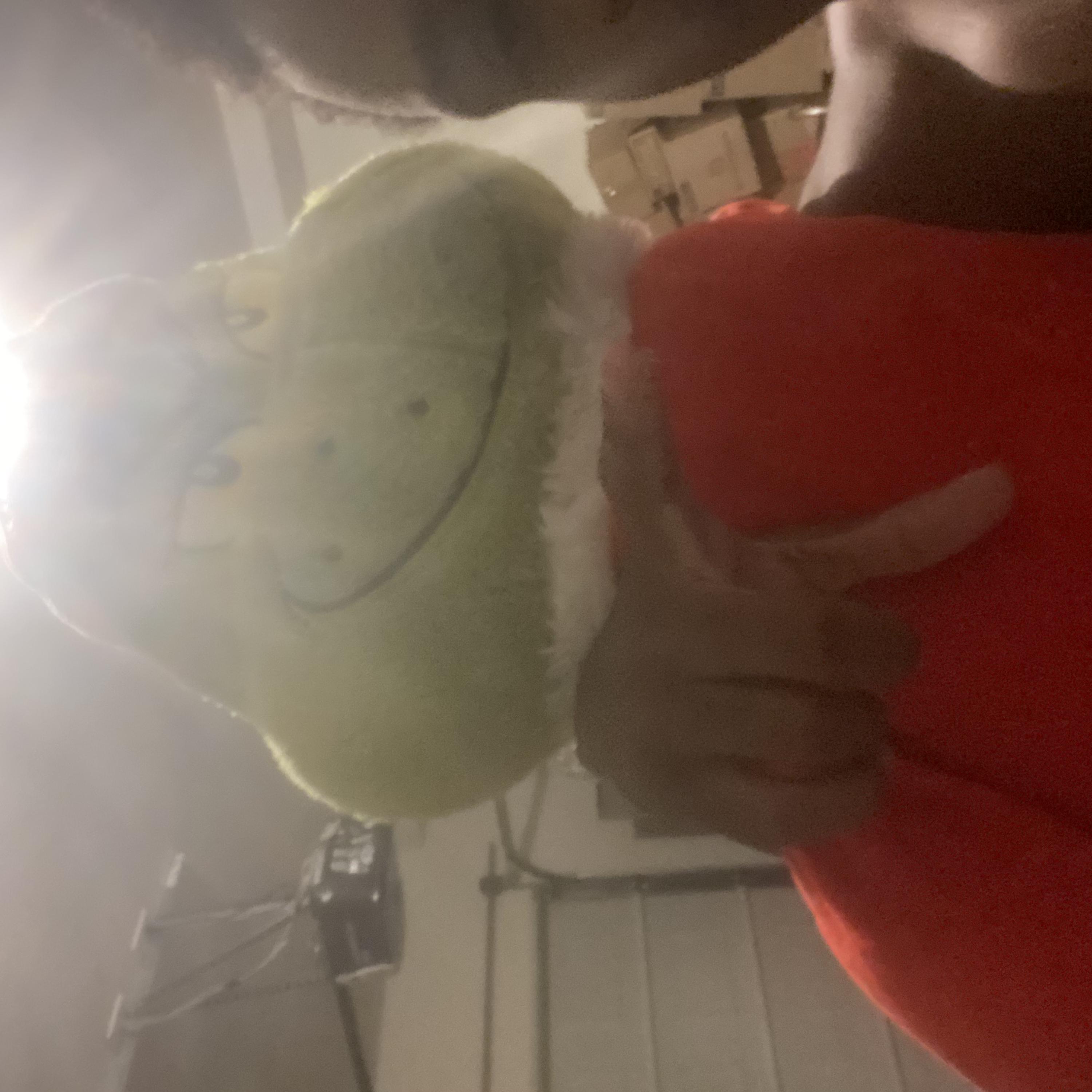 Rookie Of The Year artwork