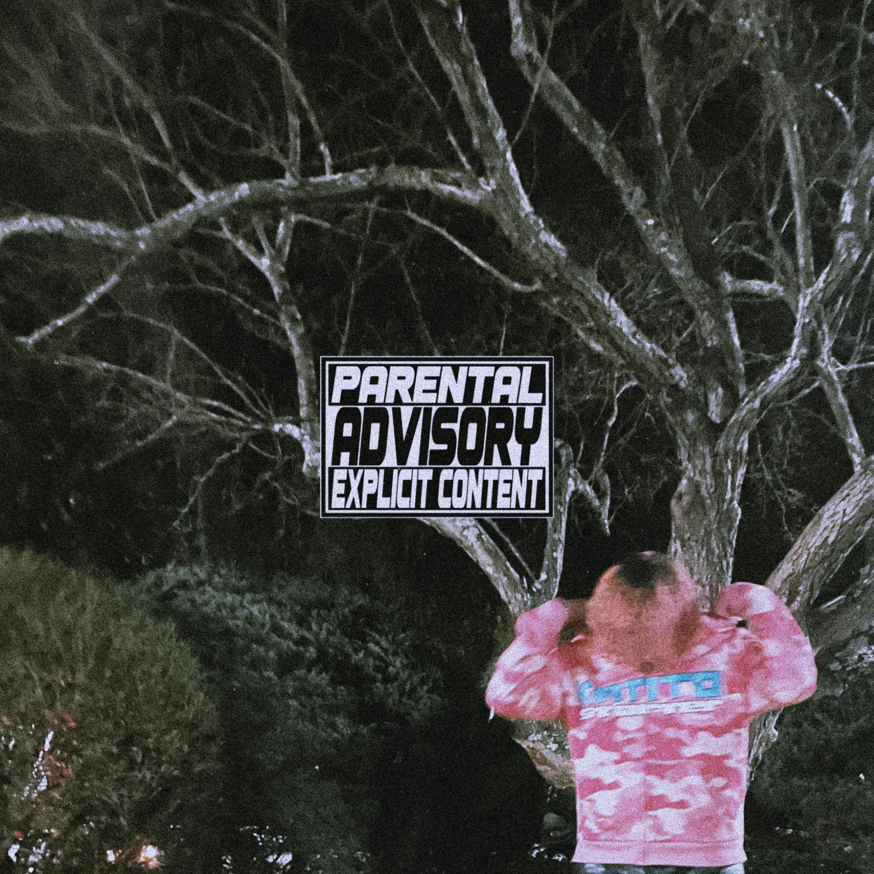 Hardtimes! Longnights! artwork