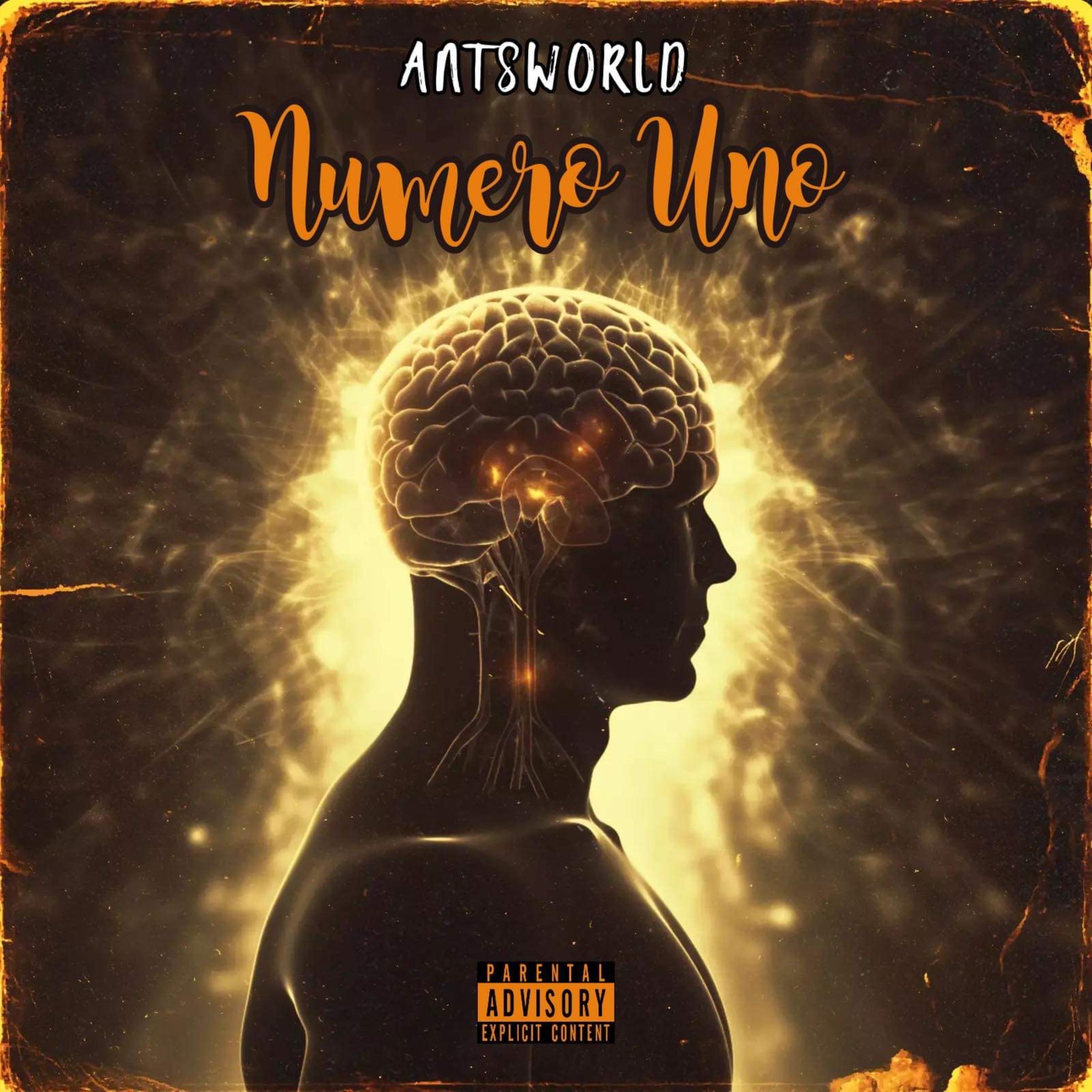Numero Uno artwork