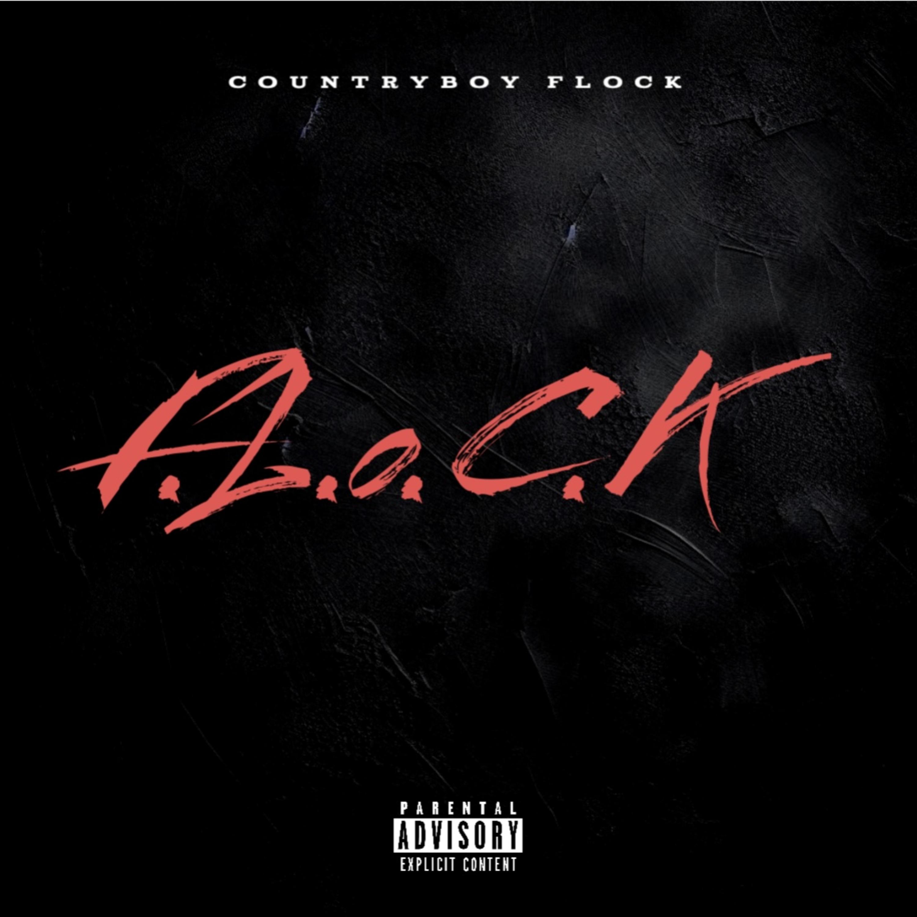 F.L.O.C.K artwork