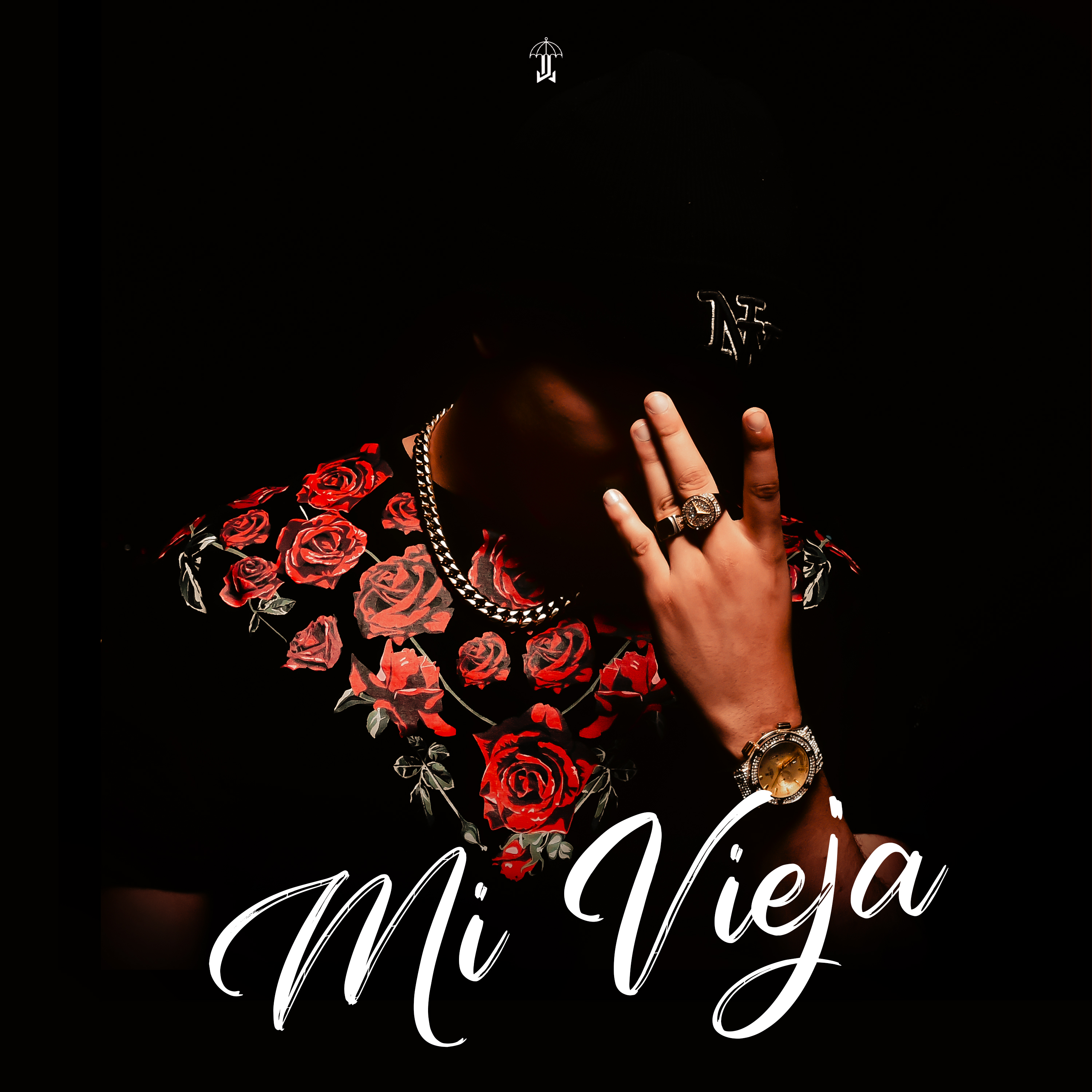 Mi Vieja artwork