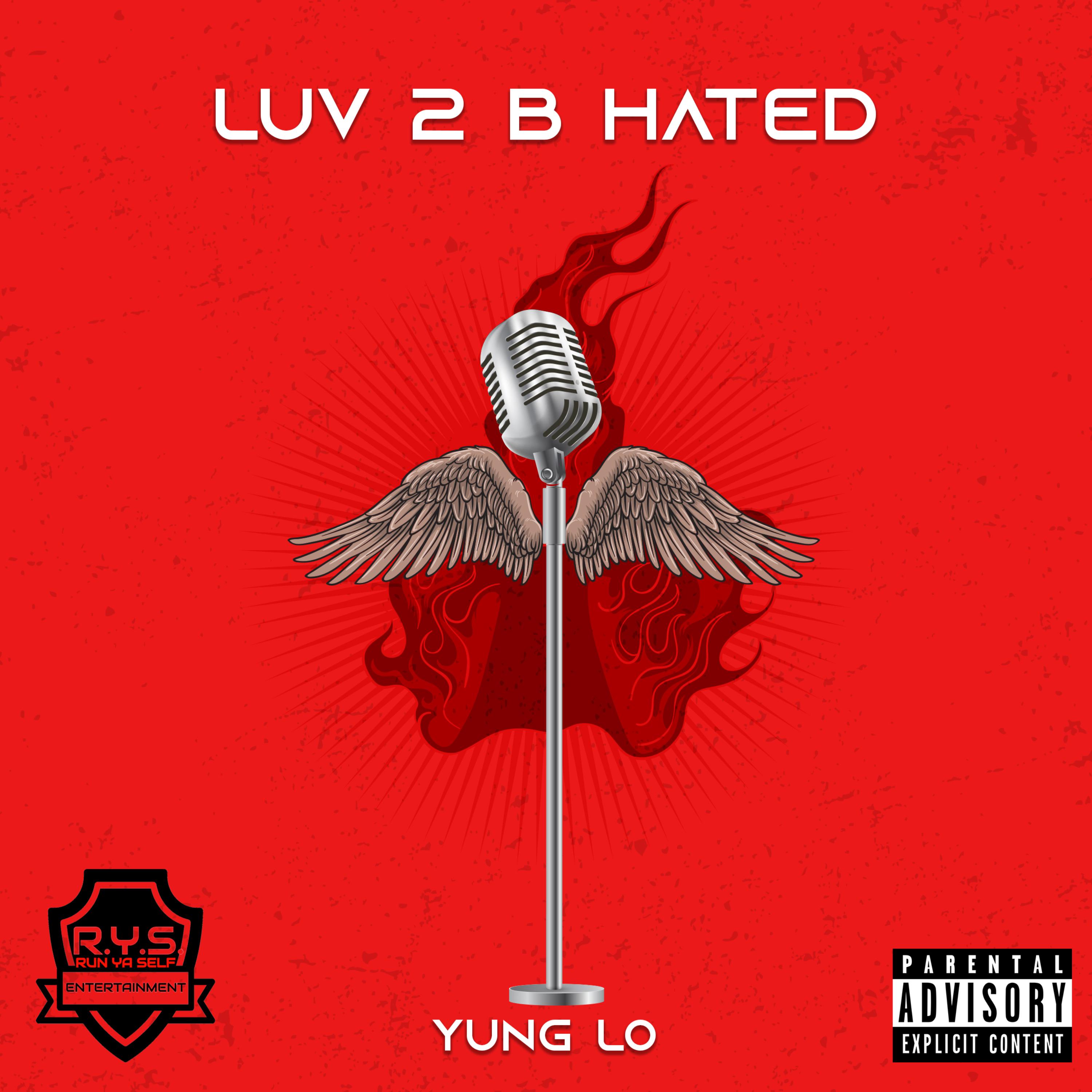 Luv 2 B Hated artwork