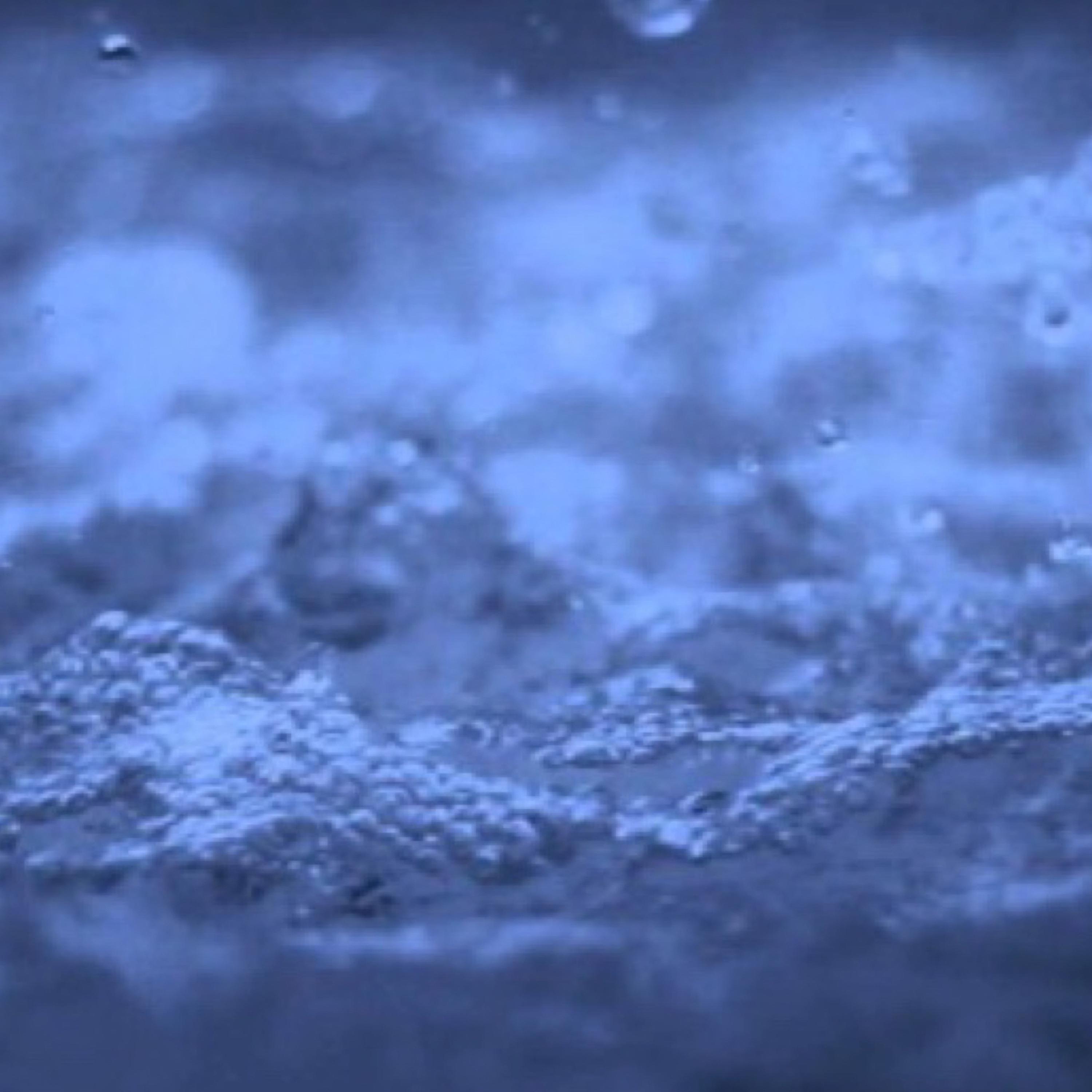 Wet Wet artwork