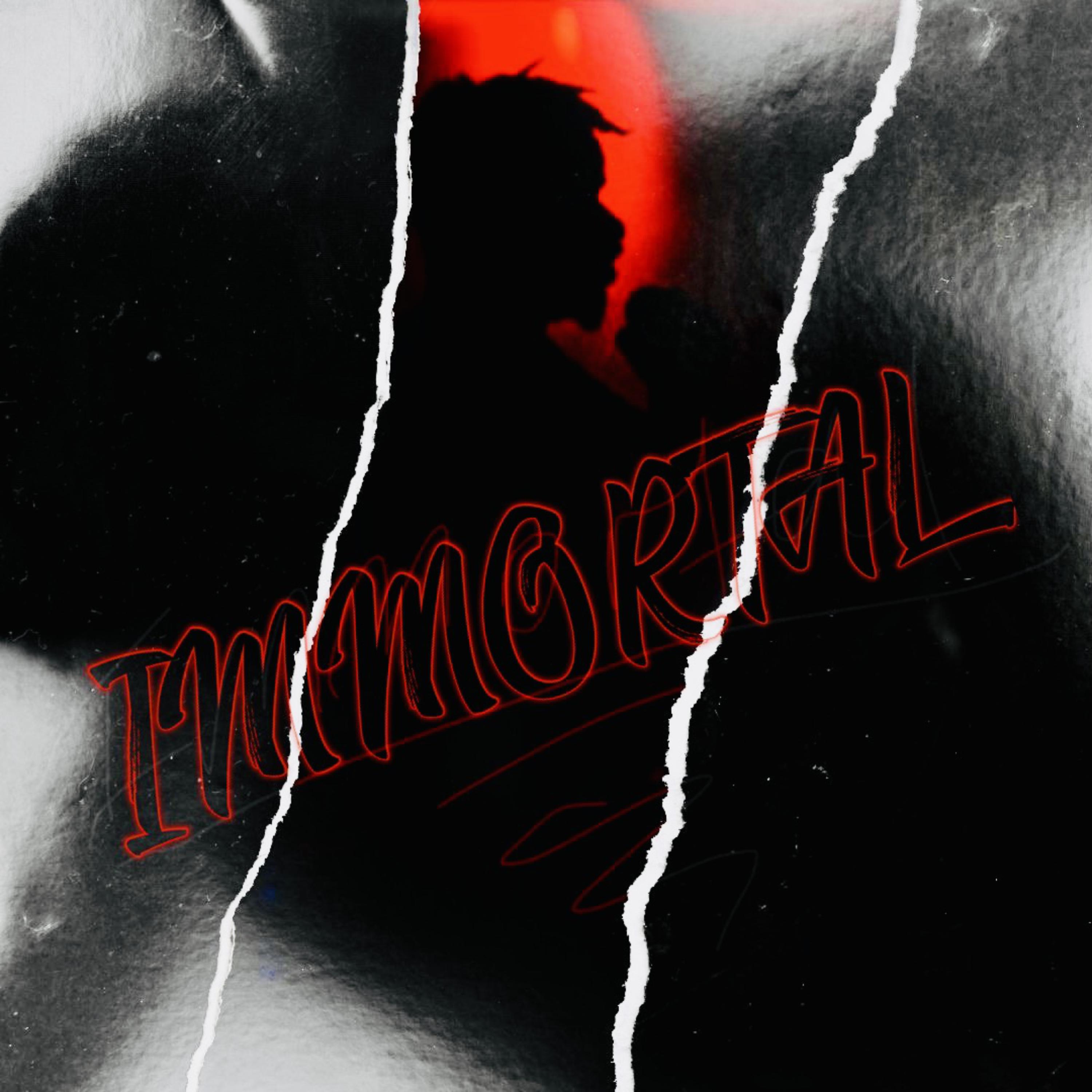 IMMORTAL artwork