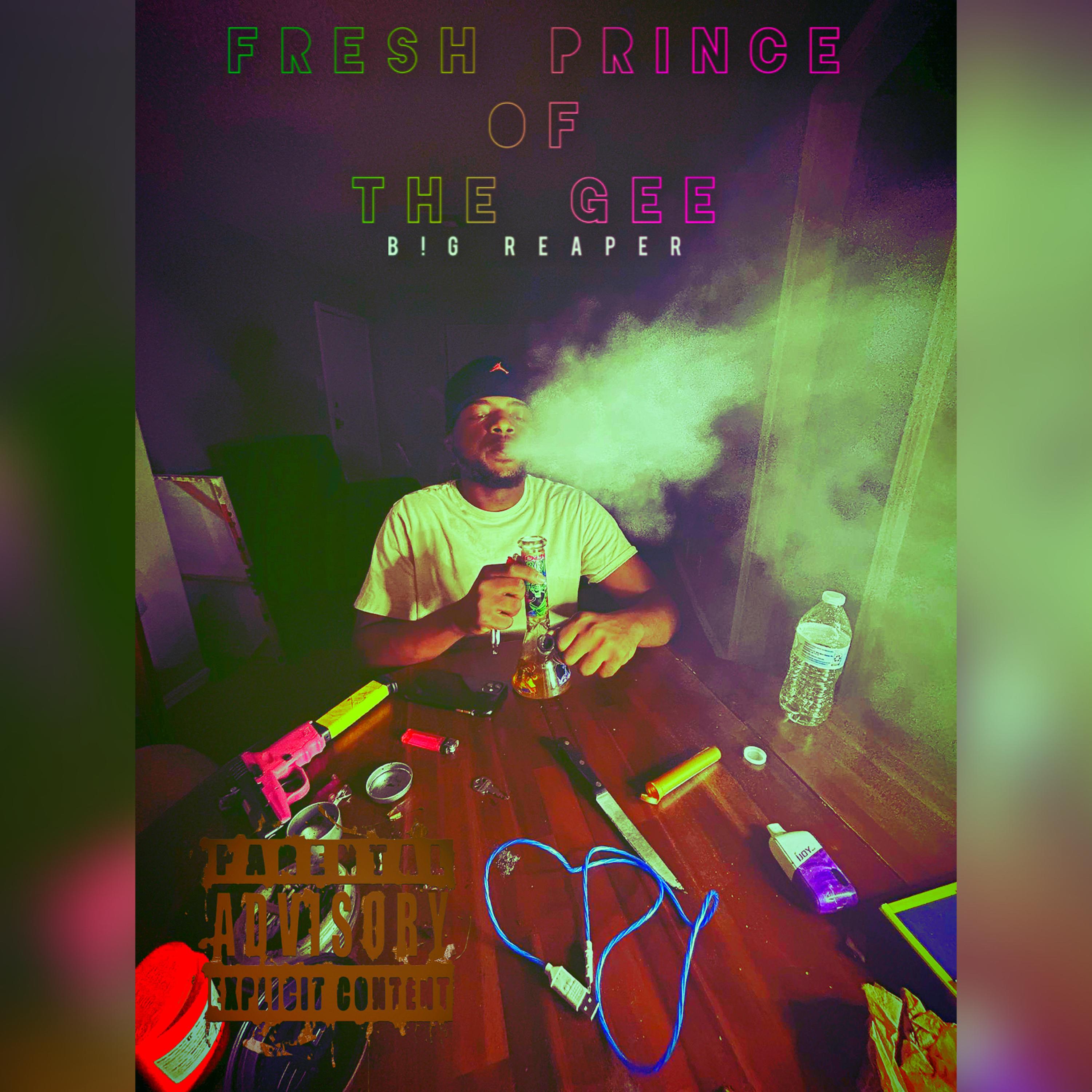 Fresh Prince Of The Gee artwork