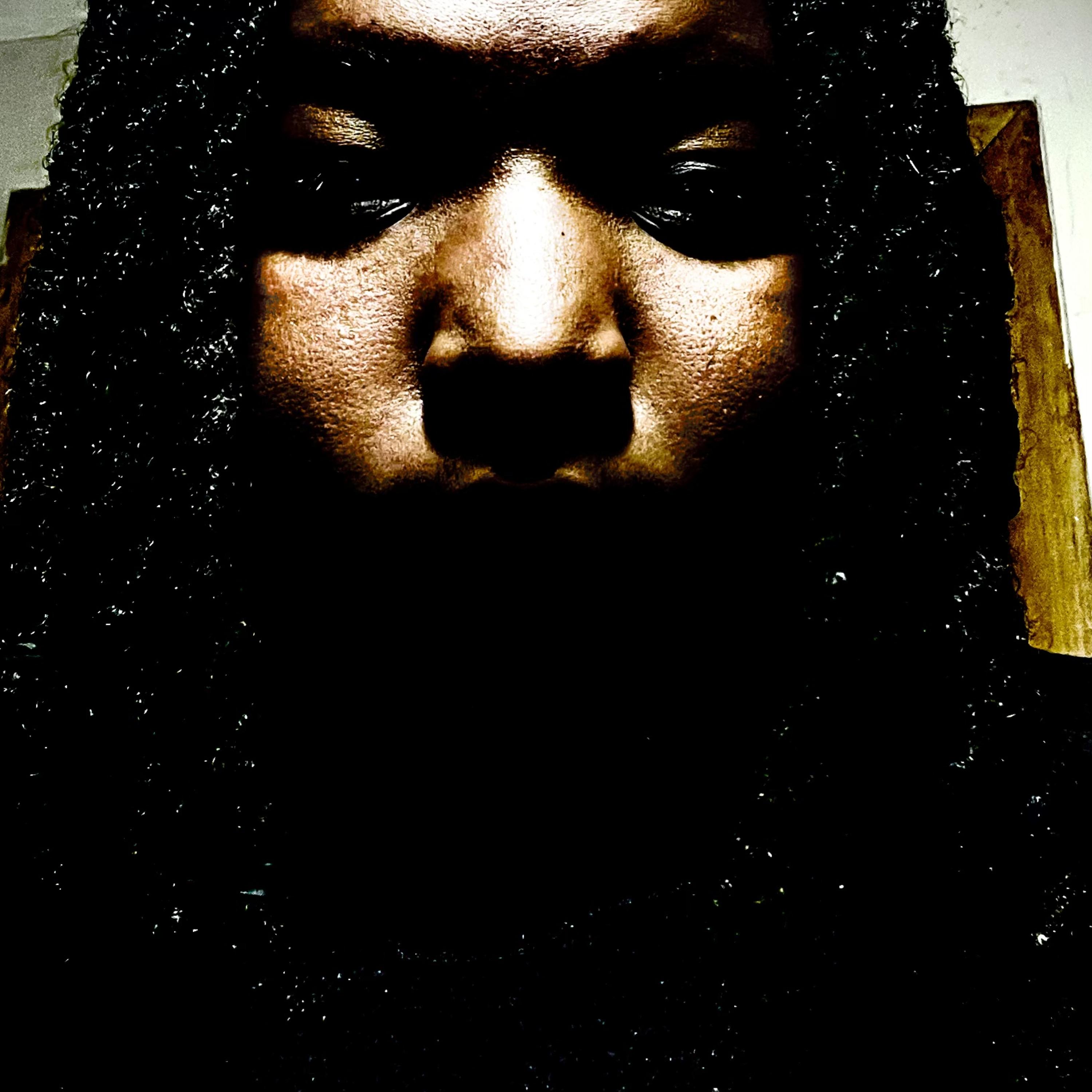 Can't Hurt Me artwork