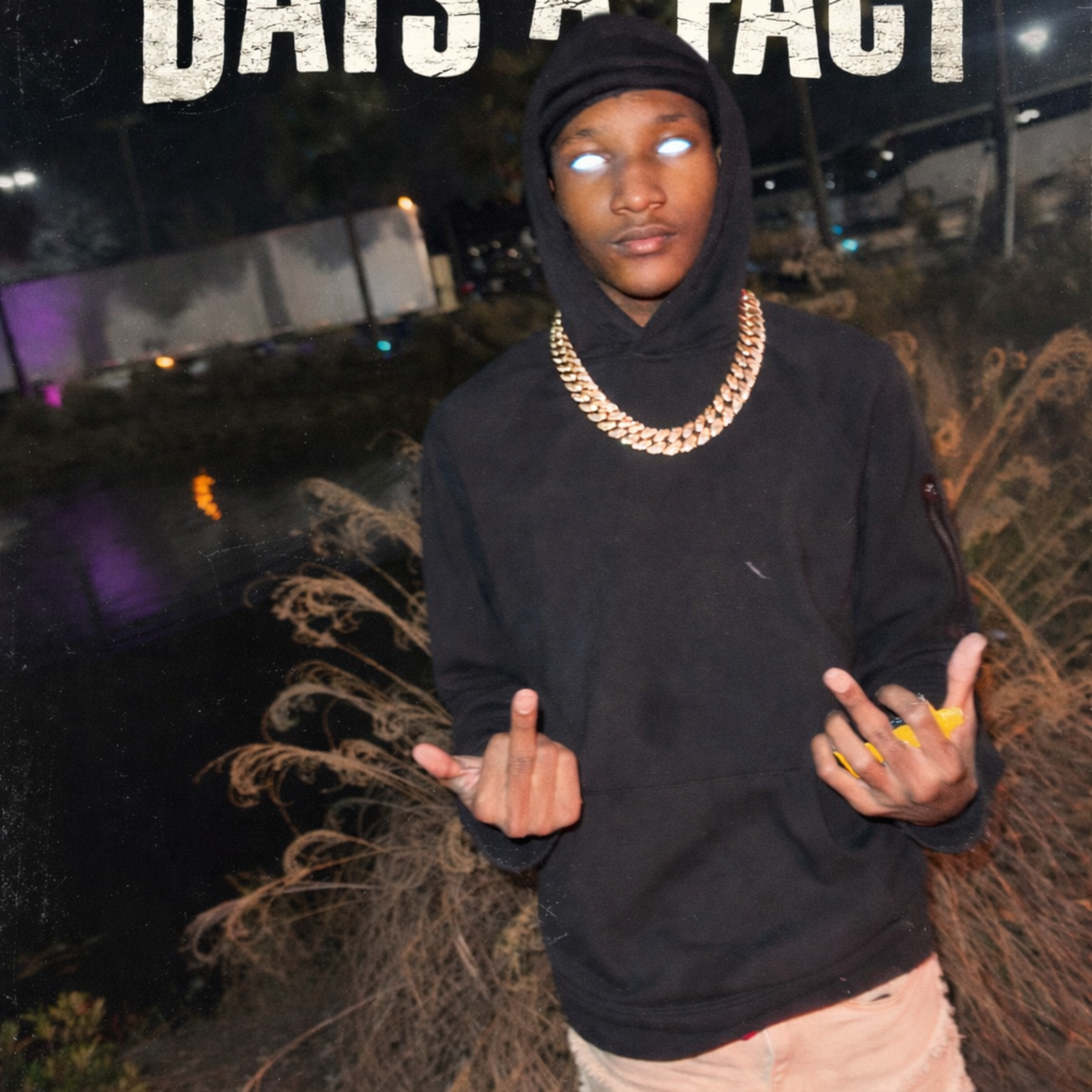 Dats a Fact artwork