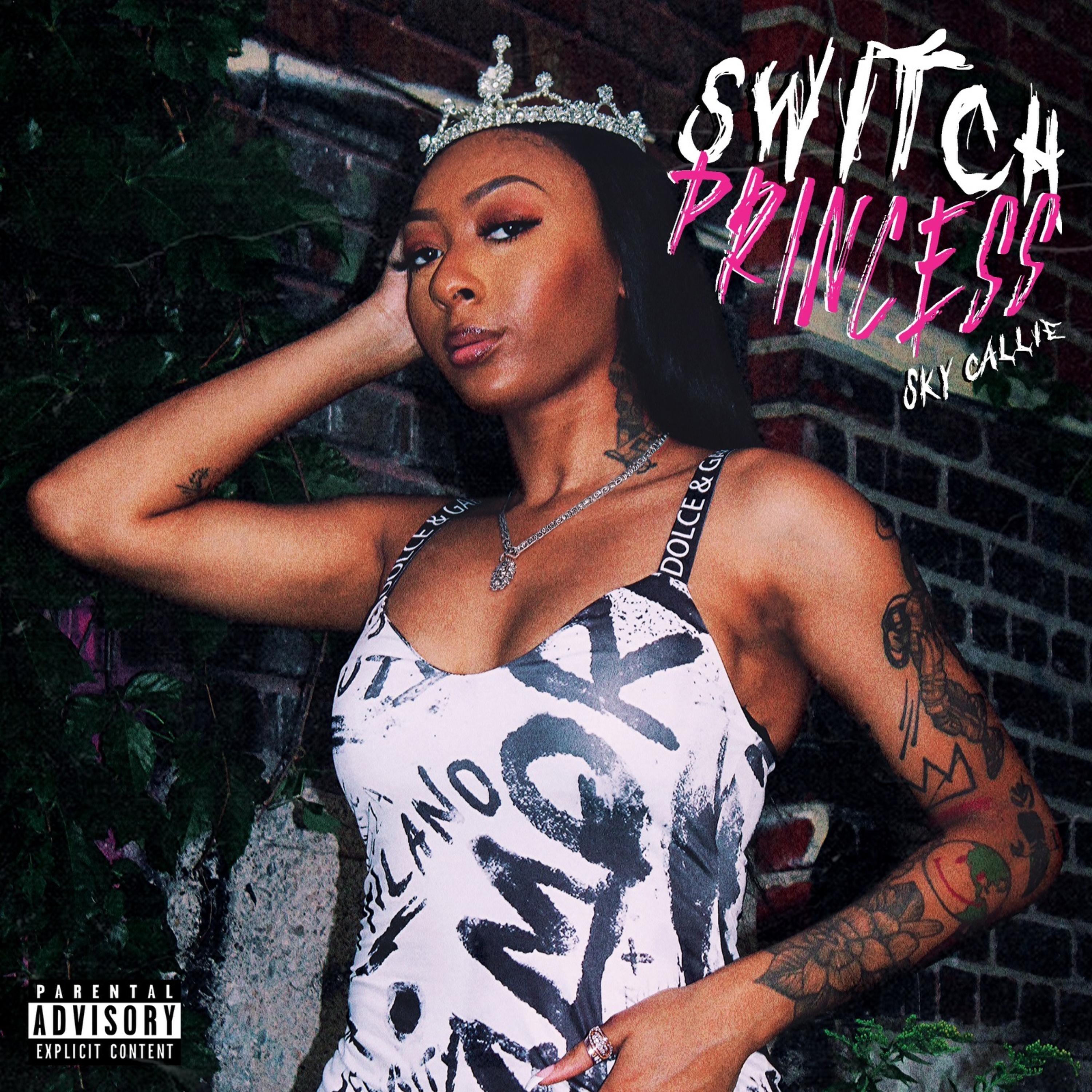 Switch Princess artwork