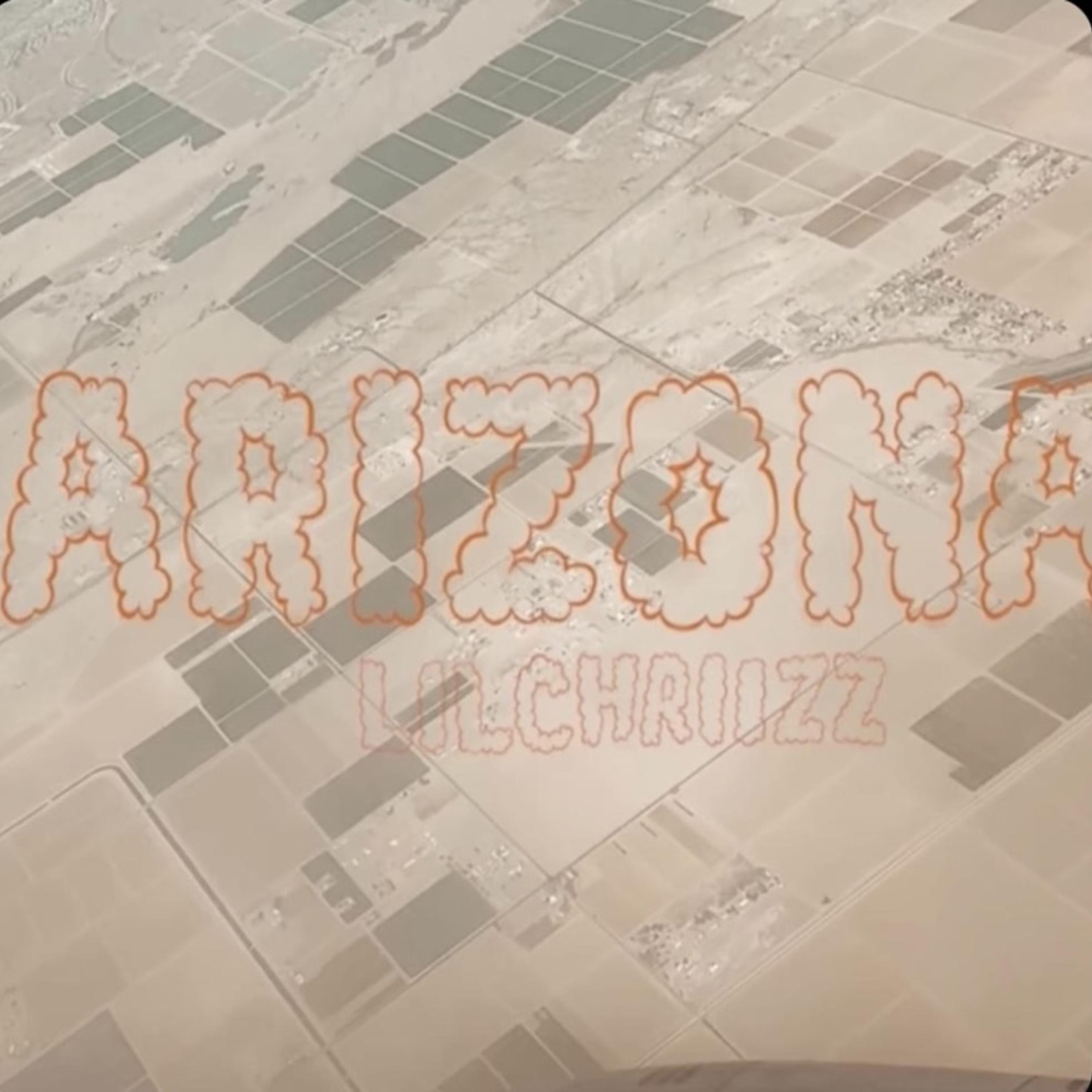 Arizona artwork