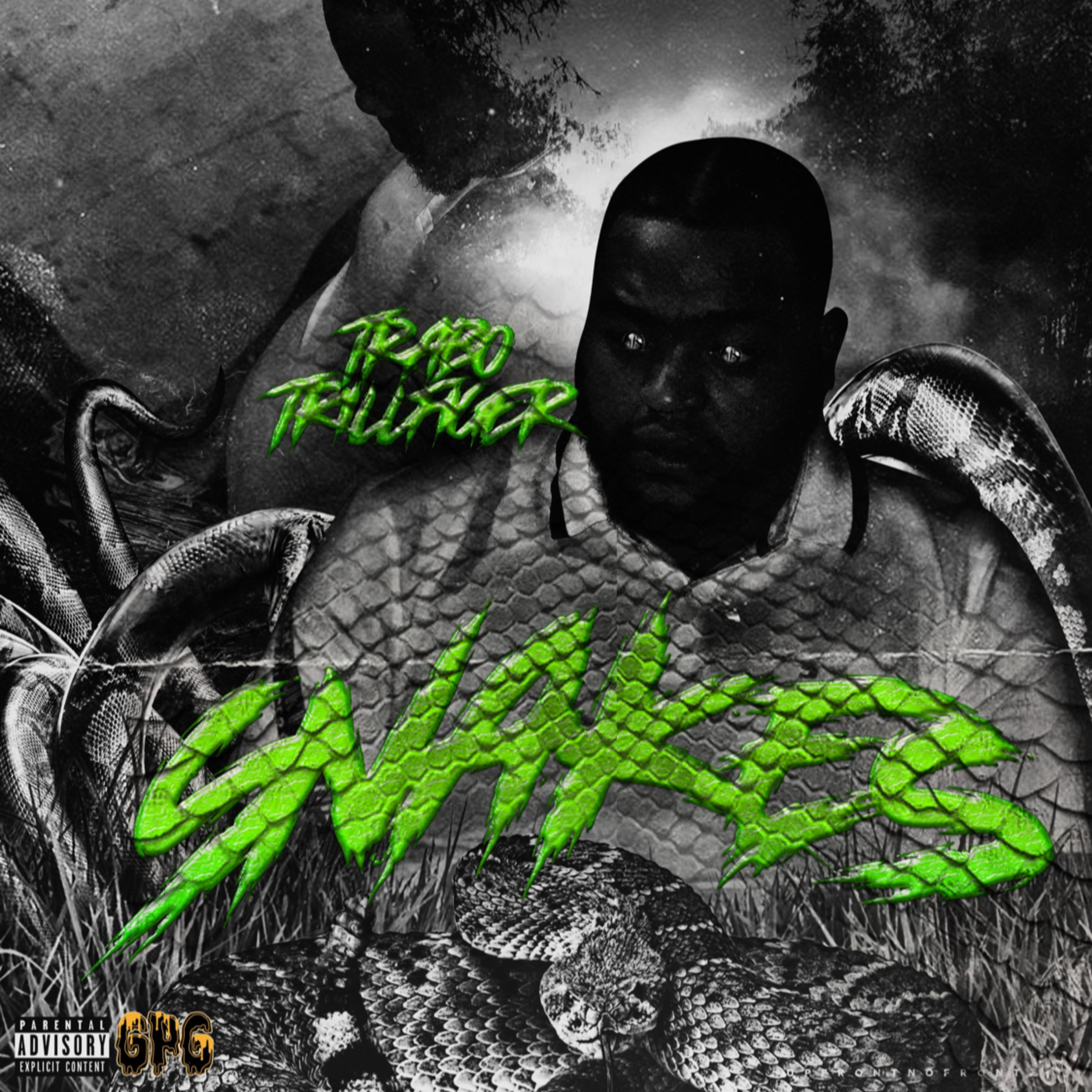 Snakes artwork
