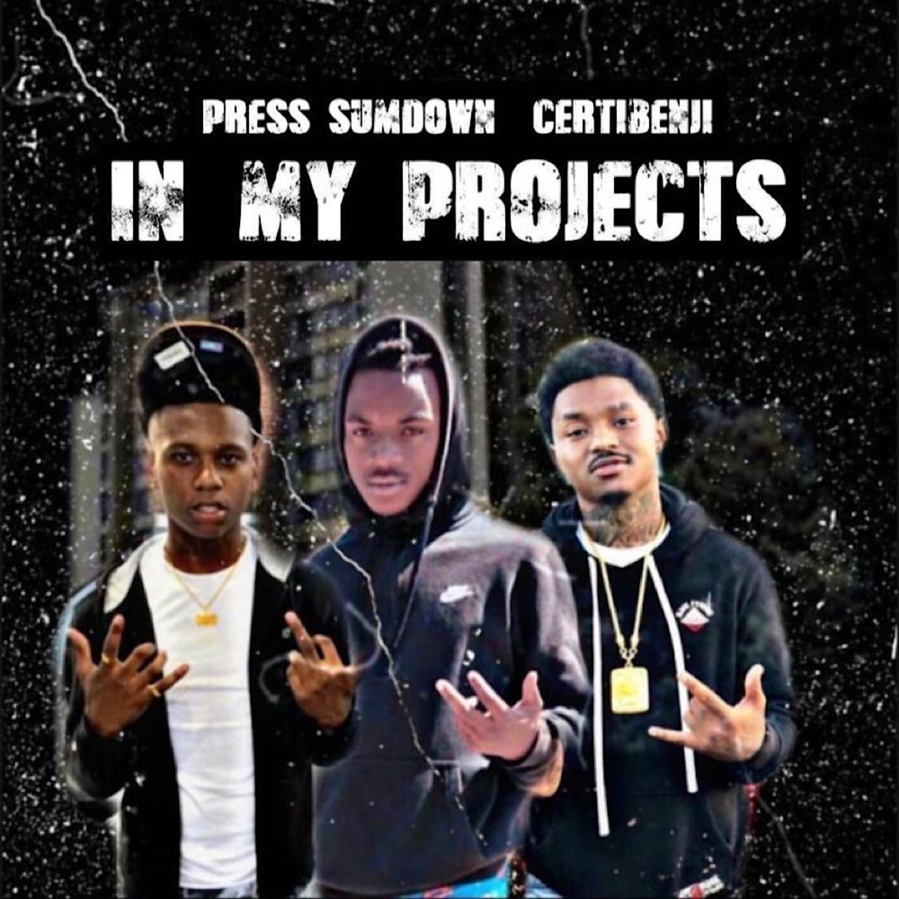 In My Projects artwork
